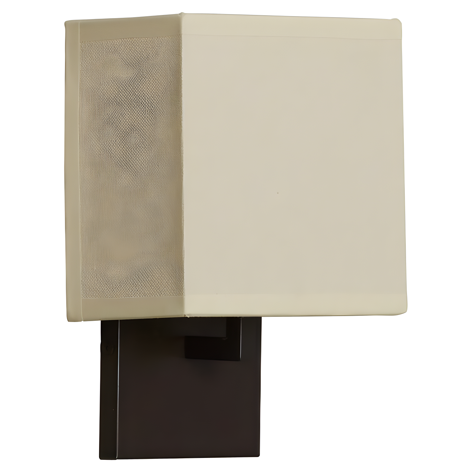 Ivy Bronx Ifrane Steel Armed Sconce