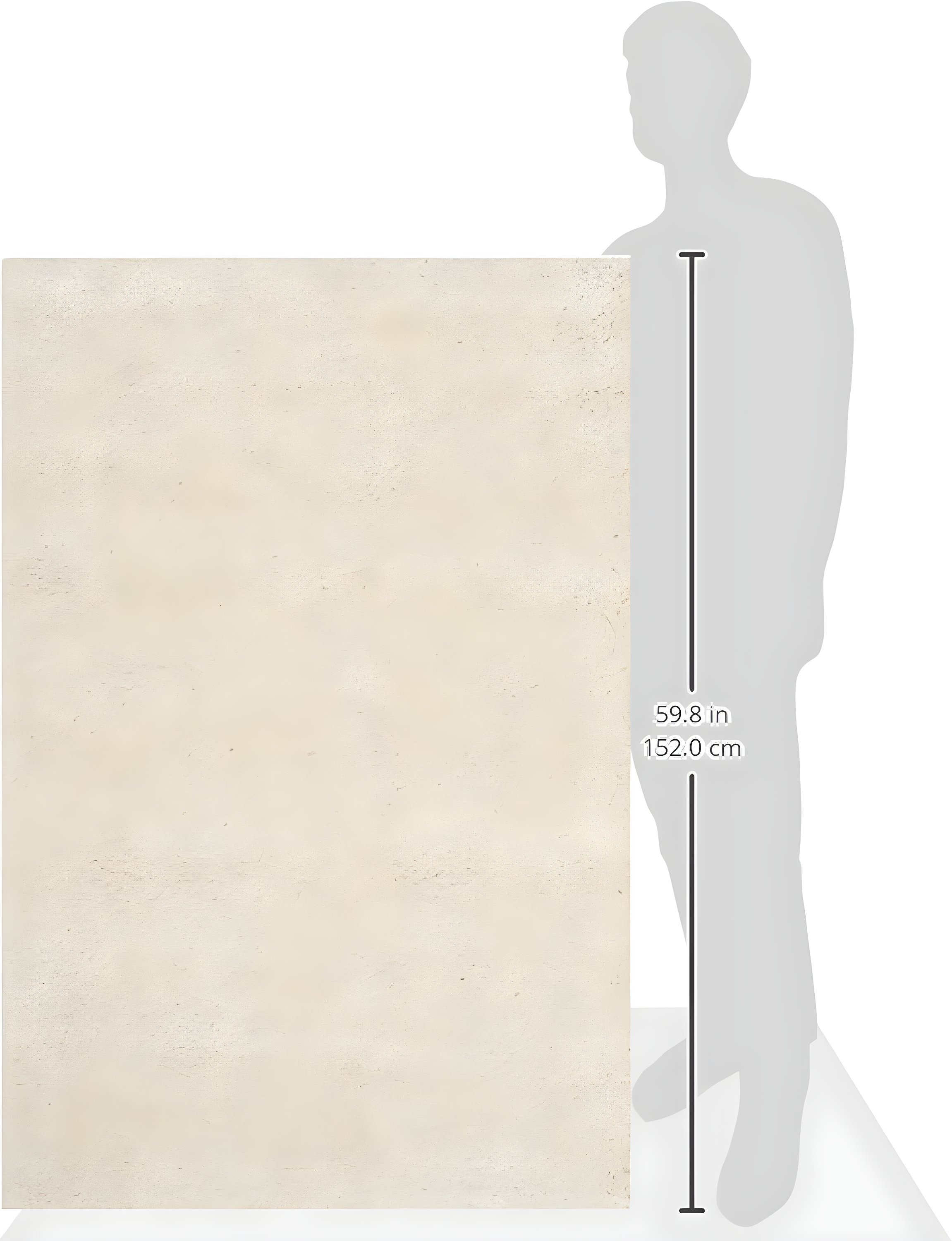 Shag SG151 Power Loomed Indoor Accent Rug - Ivory - 3'x5' - Safavieh.
