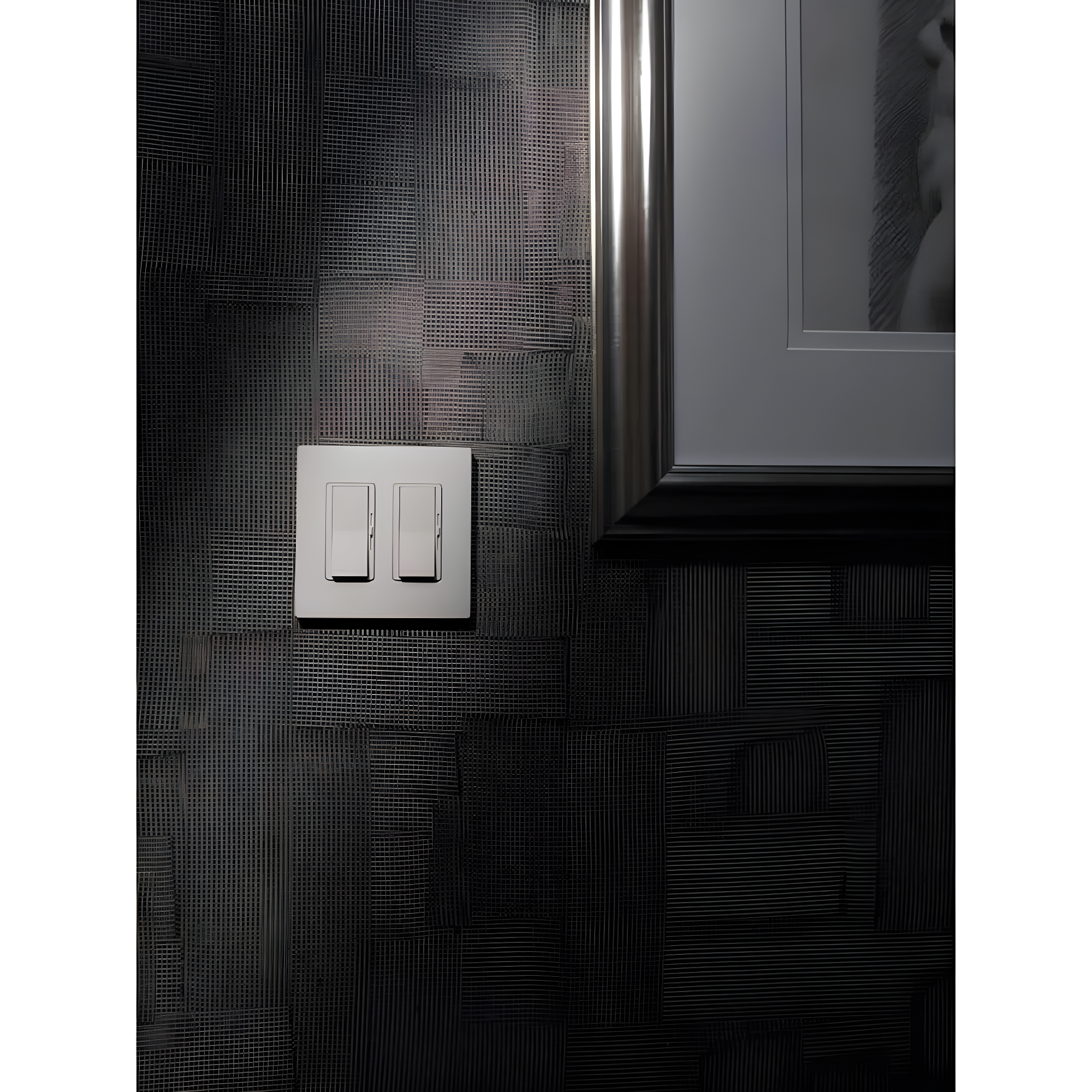 Lutron Lutron White Dual Gang Rocker Plastic Decorator Faceplate 1 pk