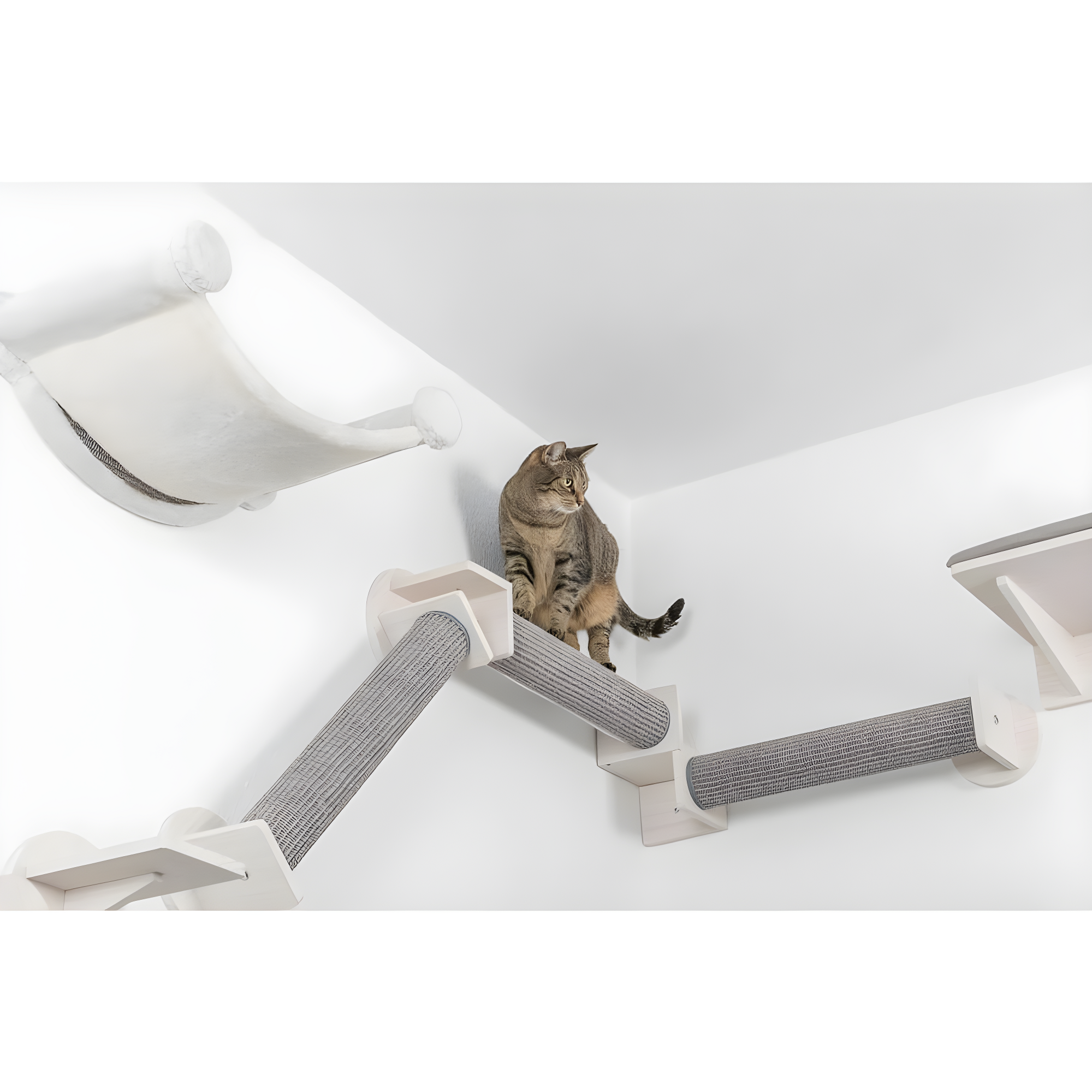 TRIXIE Wall Set 6 Wall Mounted Cat Climbing System, 3 Scratching Posts Goes Around Corners, 3 Platforms, 1 Step