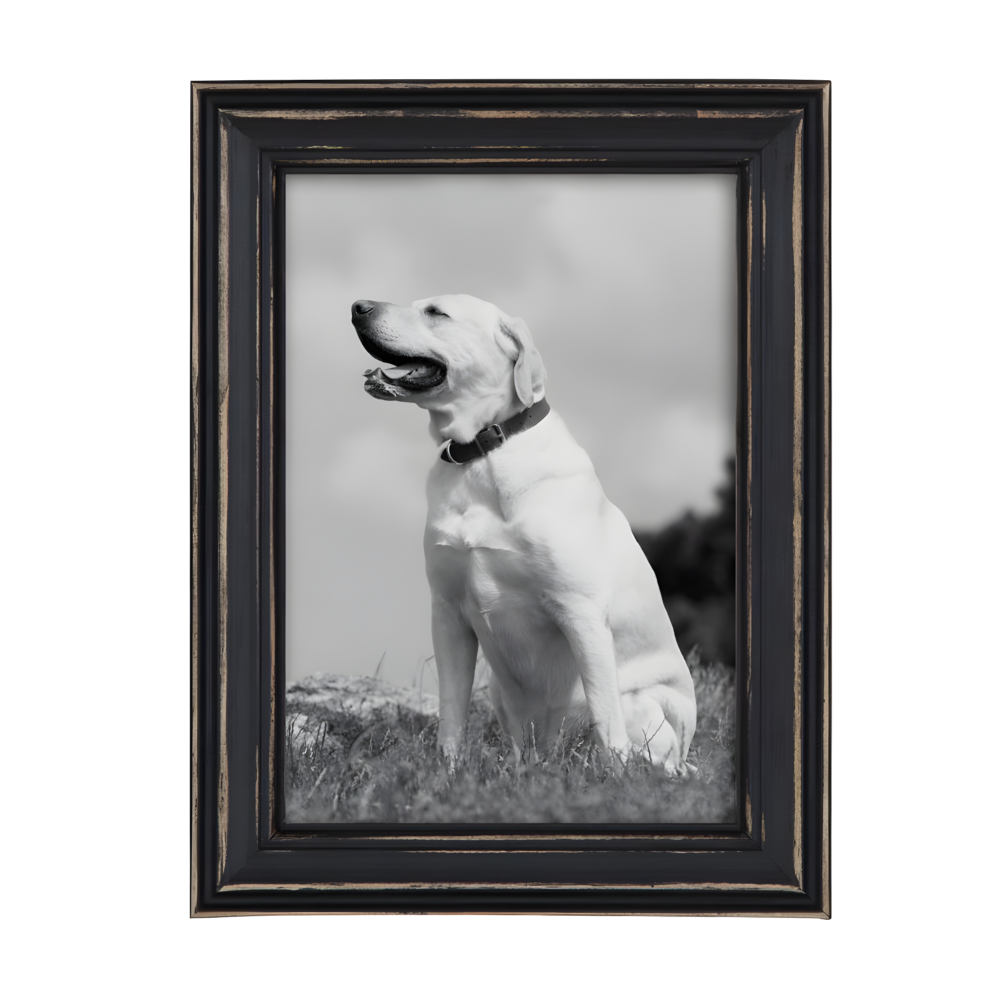 10pc Bordeaux Frame Box Set Black - Kate & Laurel All Things Decor: Wall Display, Modern Style