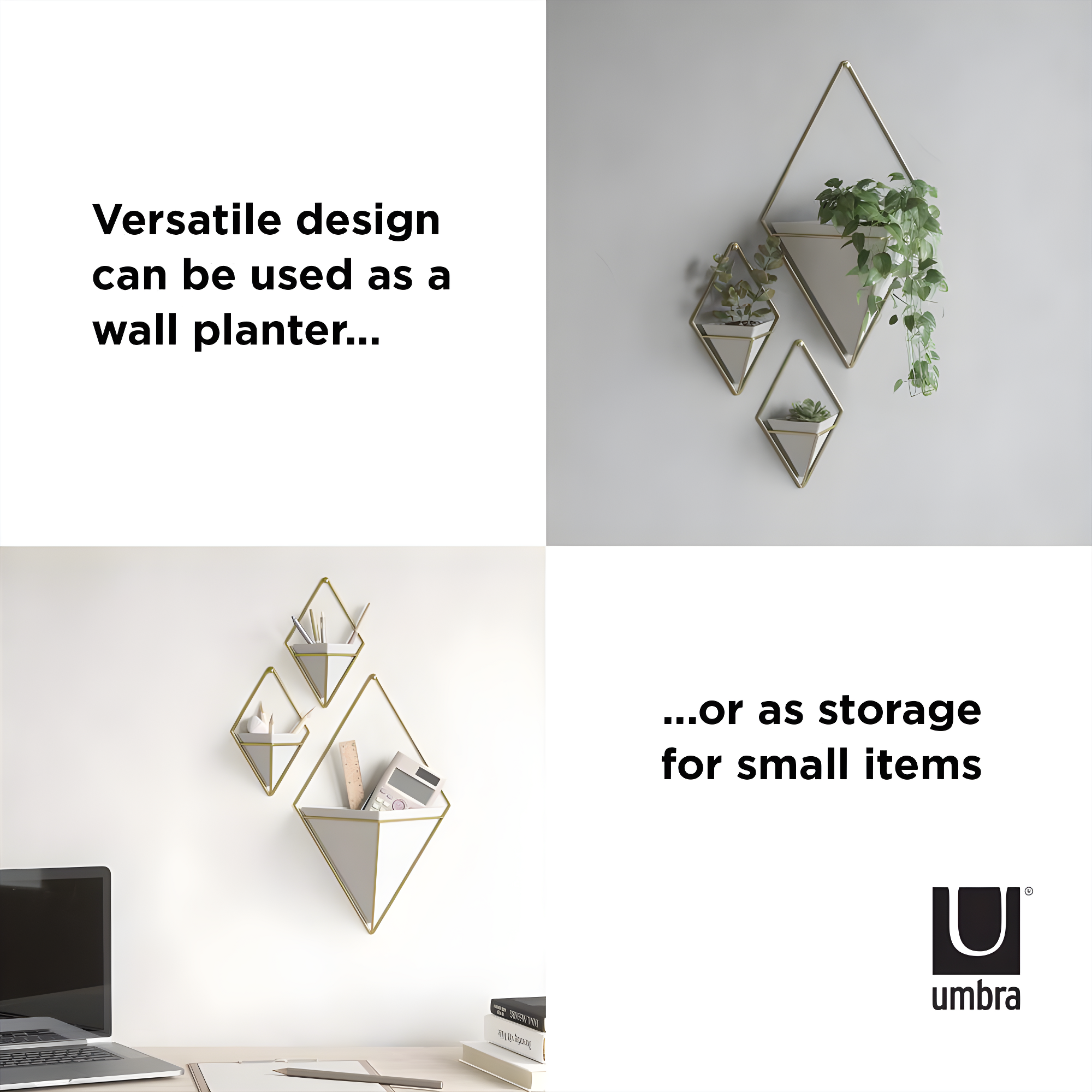Trigg Wall Décor