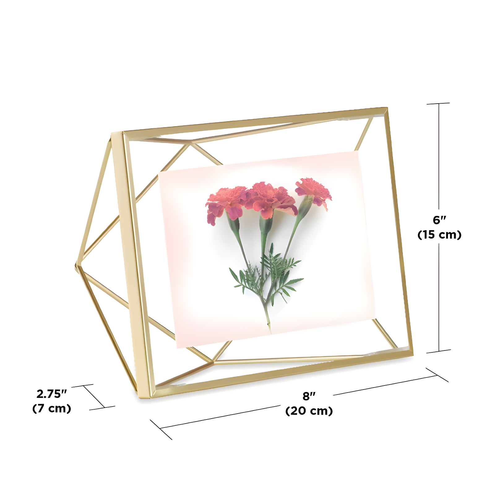 Umbra Prisma Metal Floater Picture Frame