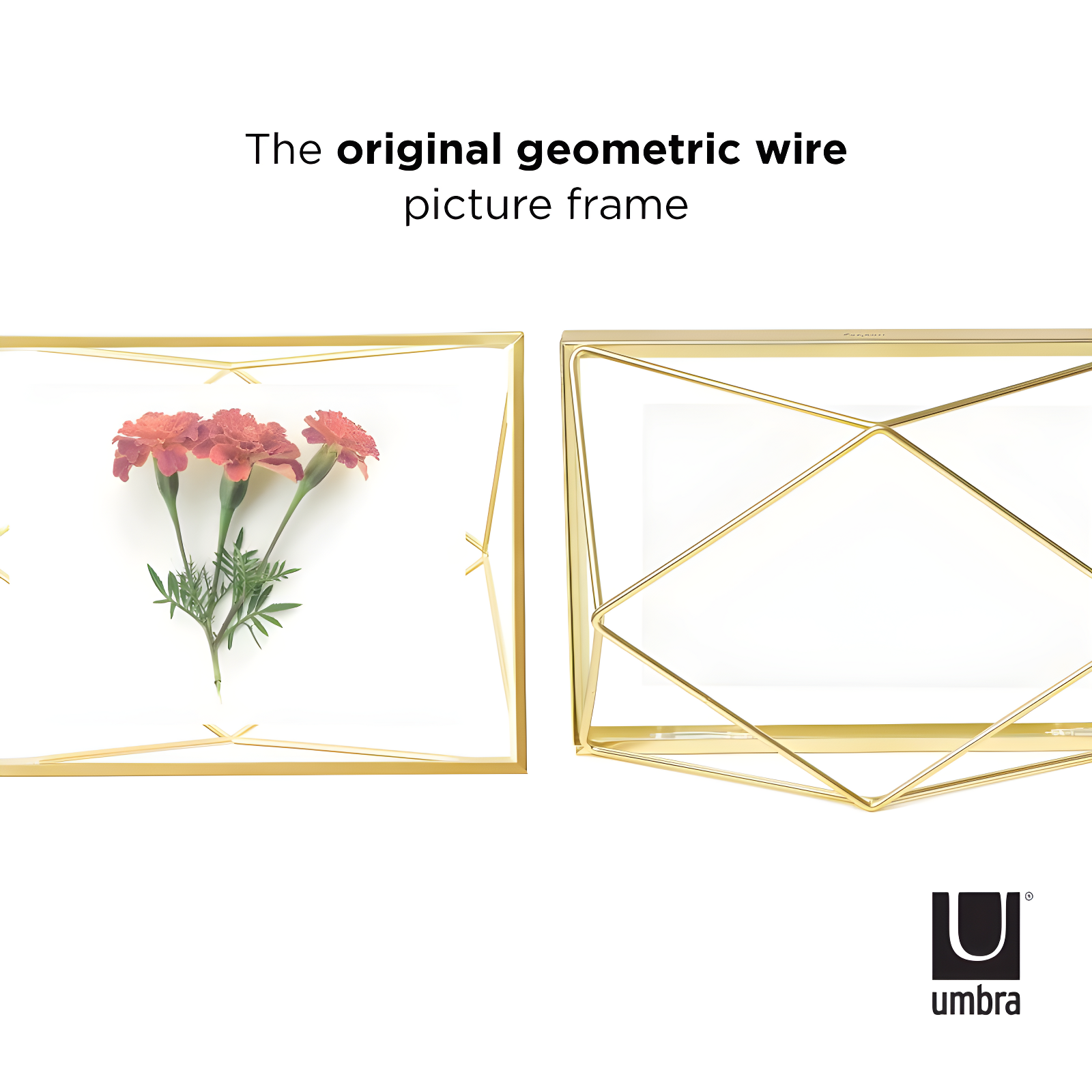 Umbra Prisma Metal Floater Picture Frame