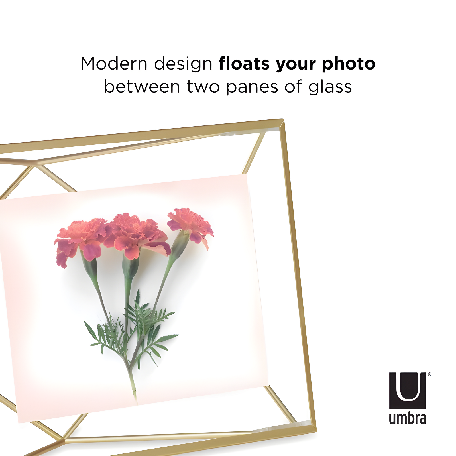 Umbra Prisma Metal Floater Picture Frame