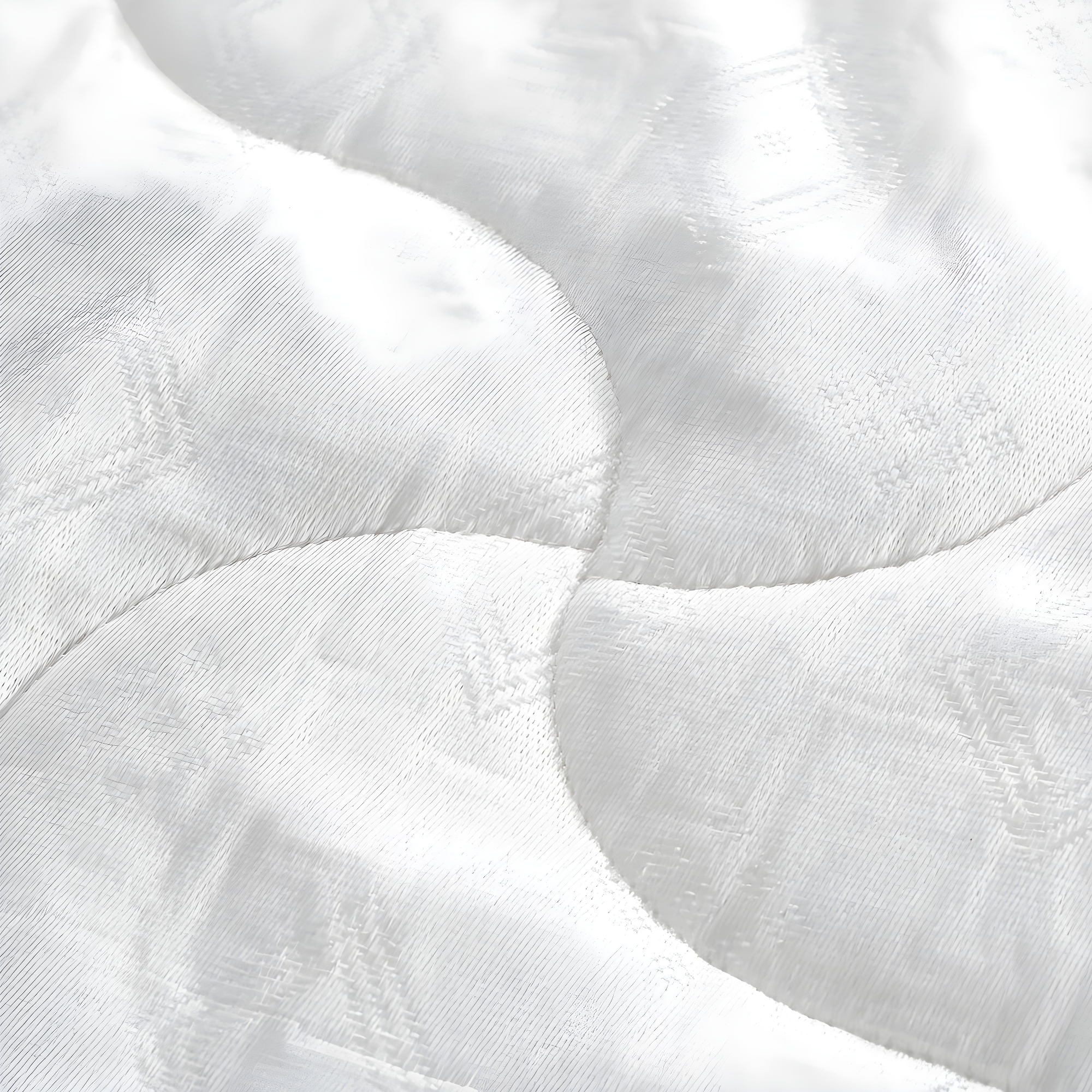 Rosemarie 6 in. Firm Foam Bed in a Box Mattress