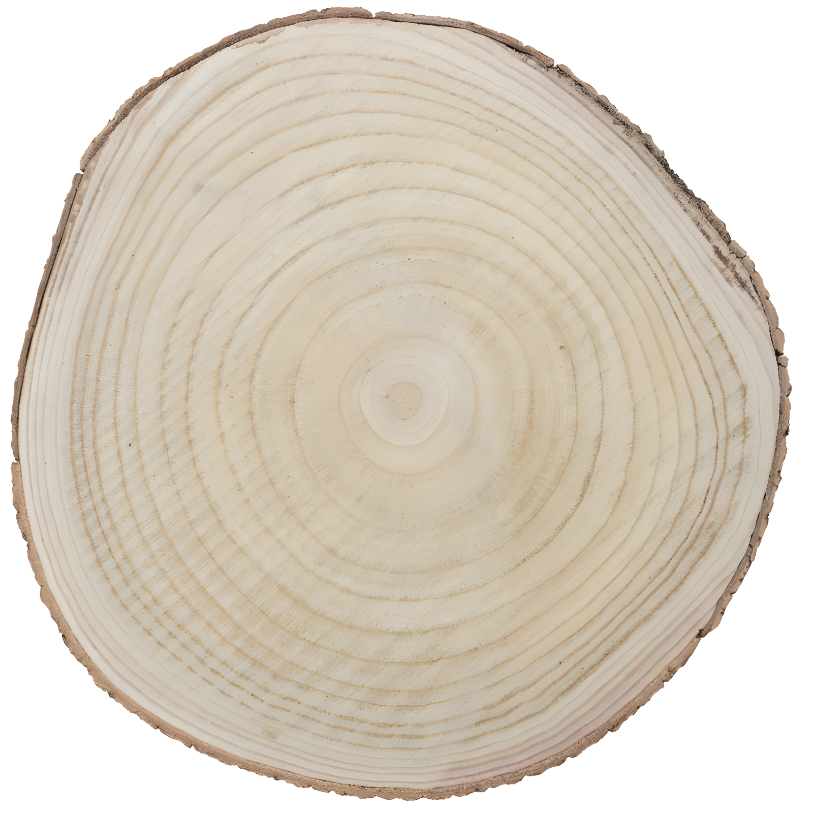 Vintiquewise Barky Natural Wood Slabs Rustic Ornament Slice Tray Table Charger - Approximately 18 Inch Dia