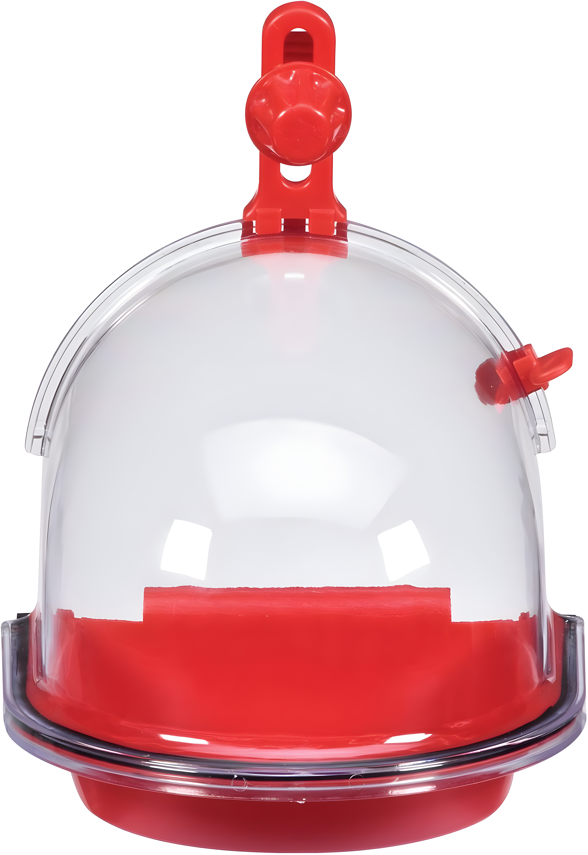 JW Insight Bird Bath