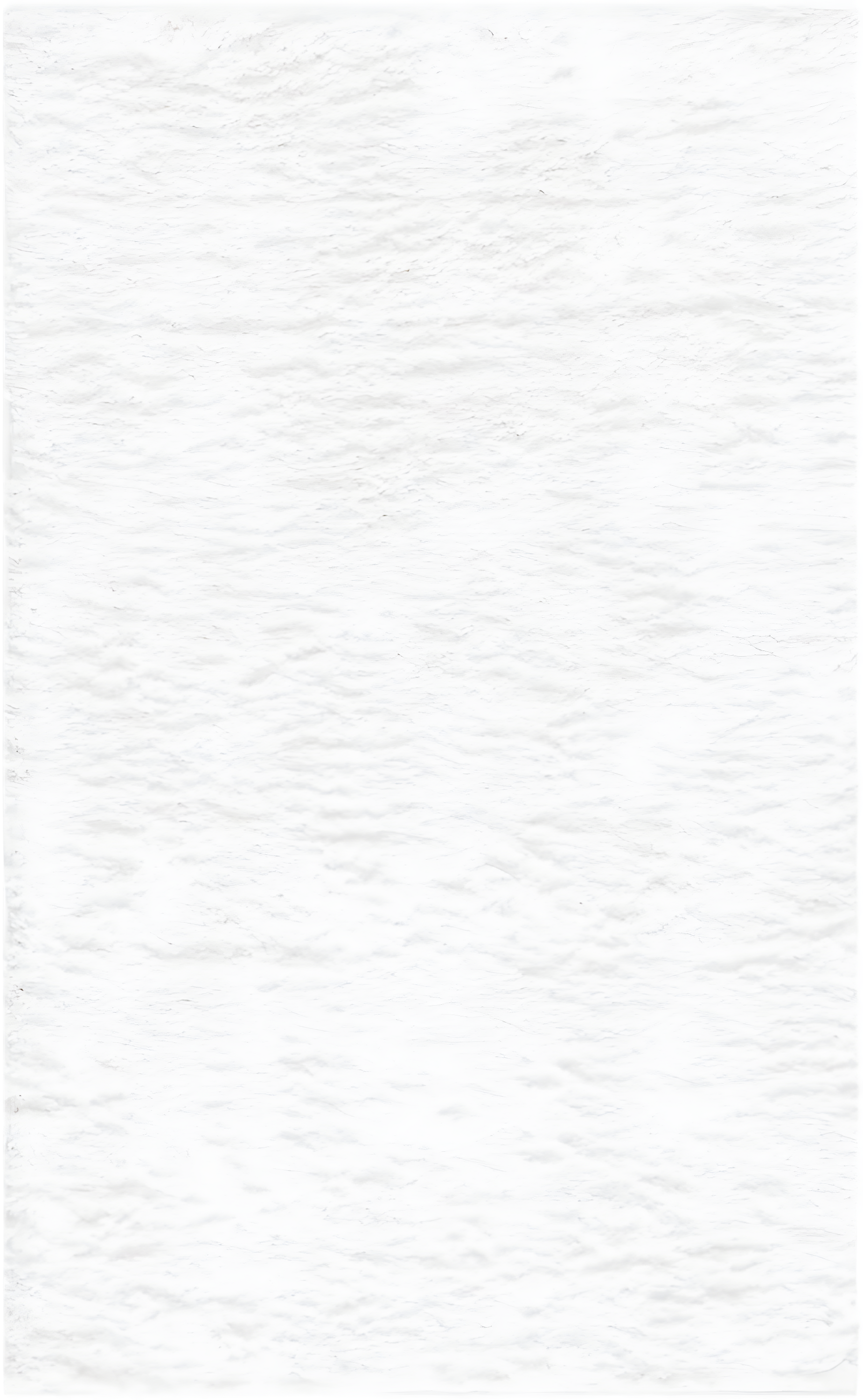 August Shag 900 AUG900 Power Loomed Indoor Accent Rug - White - 3'x5' - Safavieh