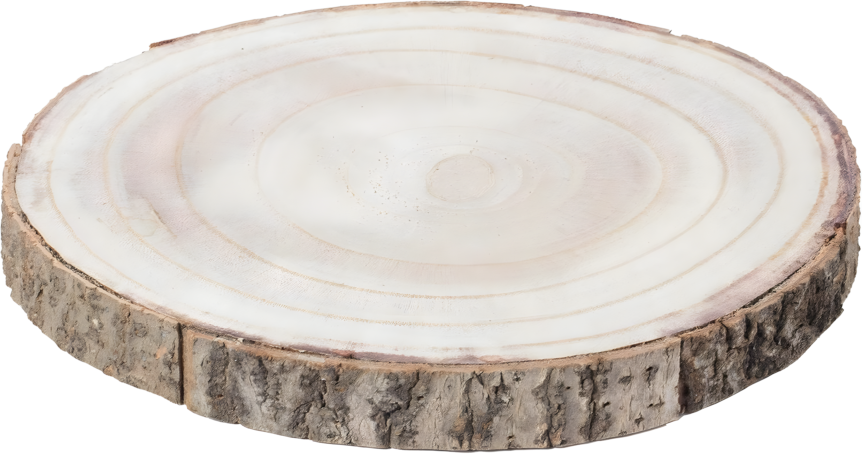 Vintiquewise Barky Natural Wood Slabs Rustic Ornament Slice Tray Table Charger 10" Diameter