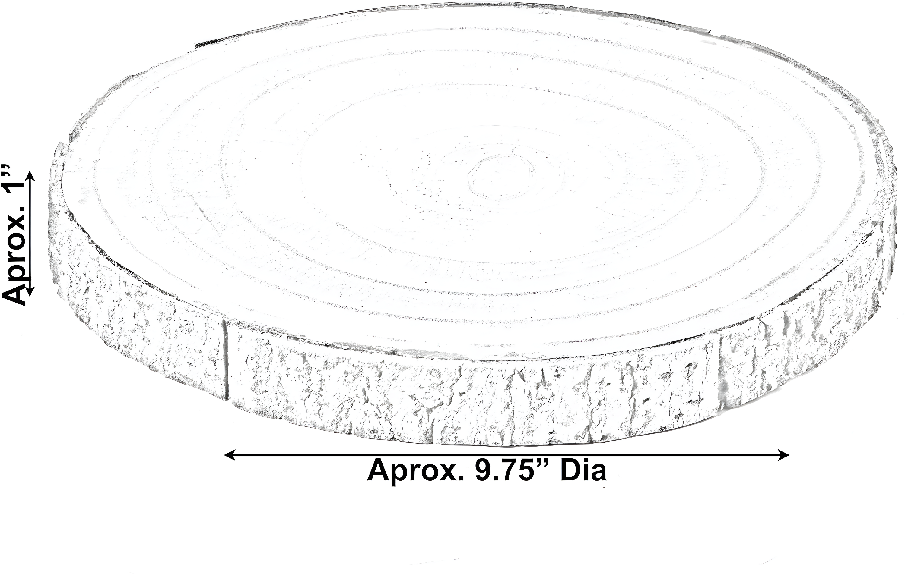 Vintiquewise Barky Natural Wood Slabs Rustic Ornament Slice Tray Table Charger 10" Diameter
