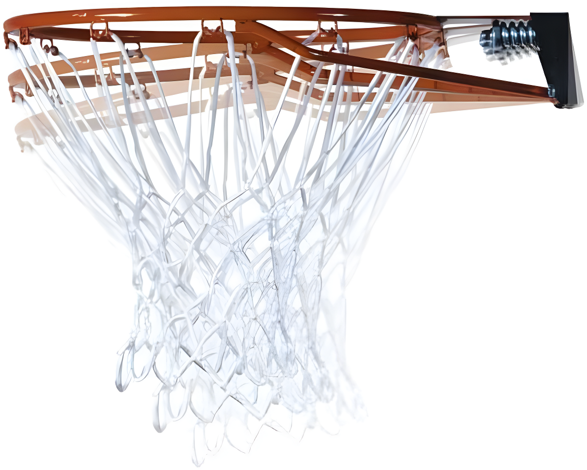 Lifetime Lifetime Height Adjustable Portable Basketball Hoop (50" Polycarbonate Backboard)