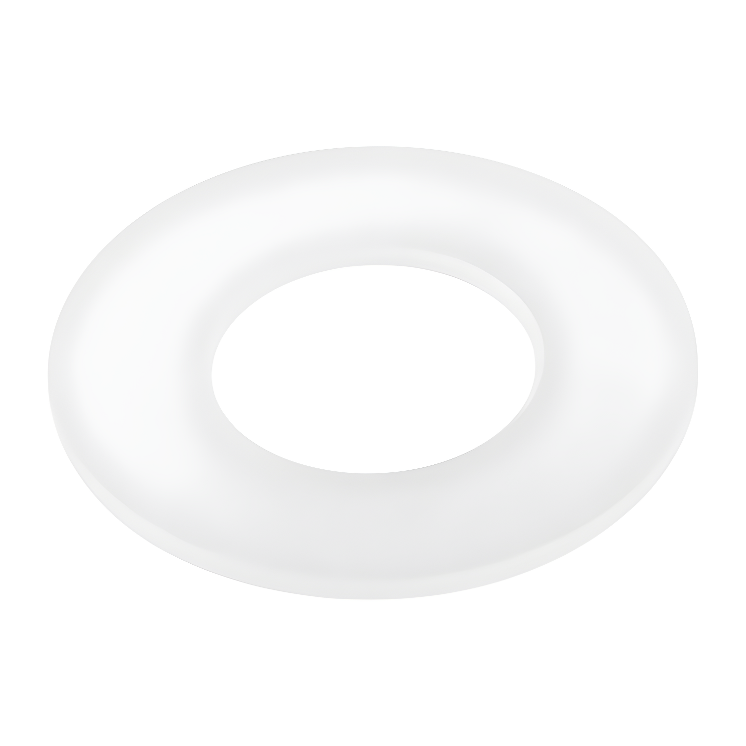 Dual Flush Canister Seal