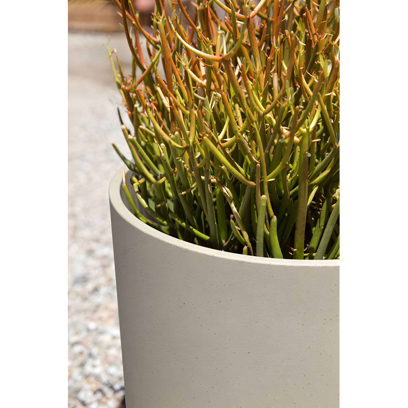 Mason Series Kona Planter