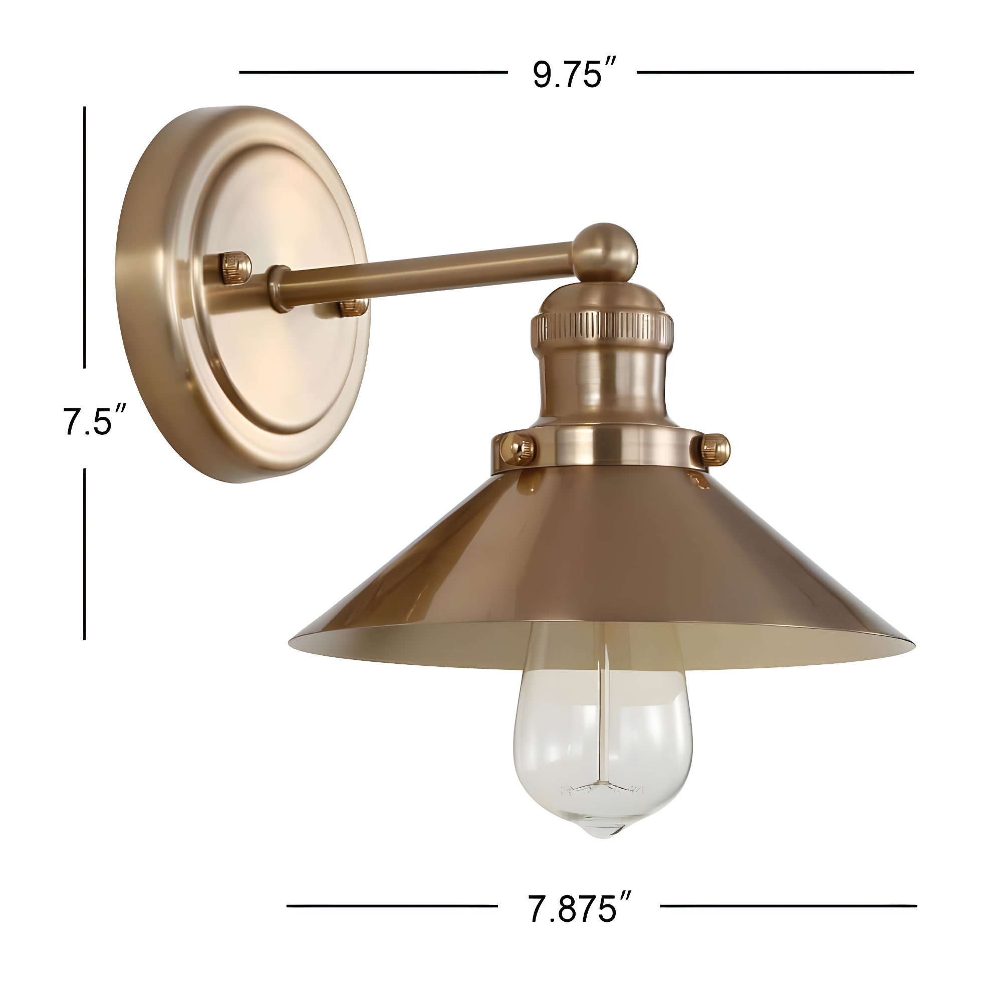 August 7.75 in. Metal Shade Brass Gold Vanity Light