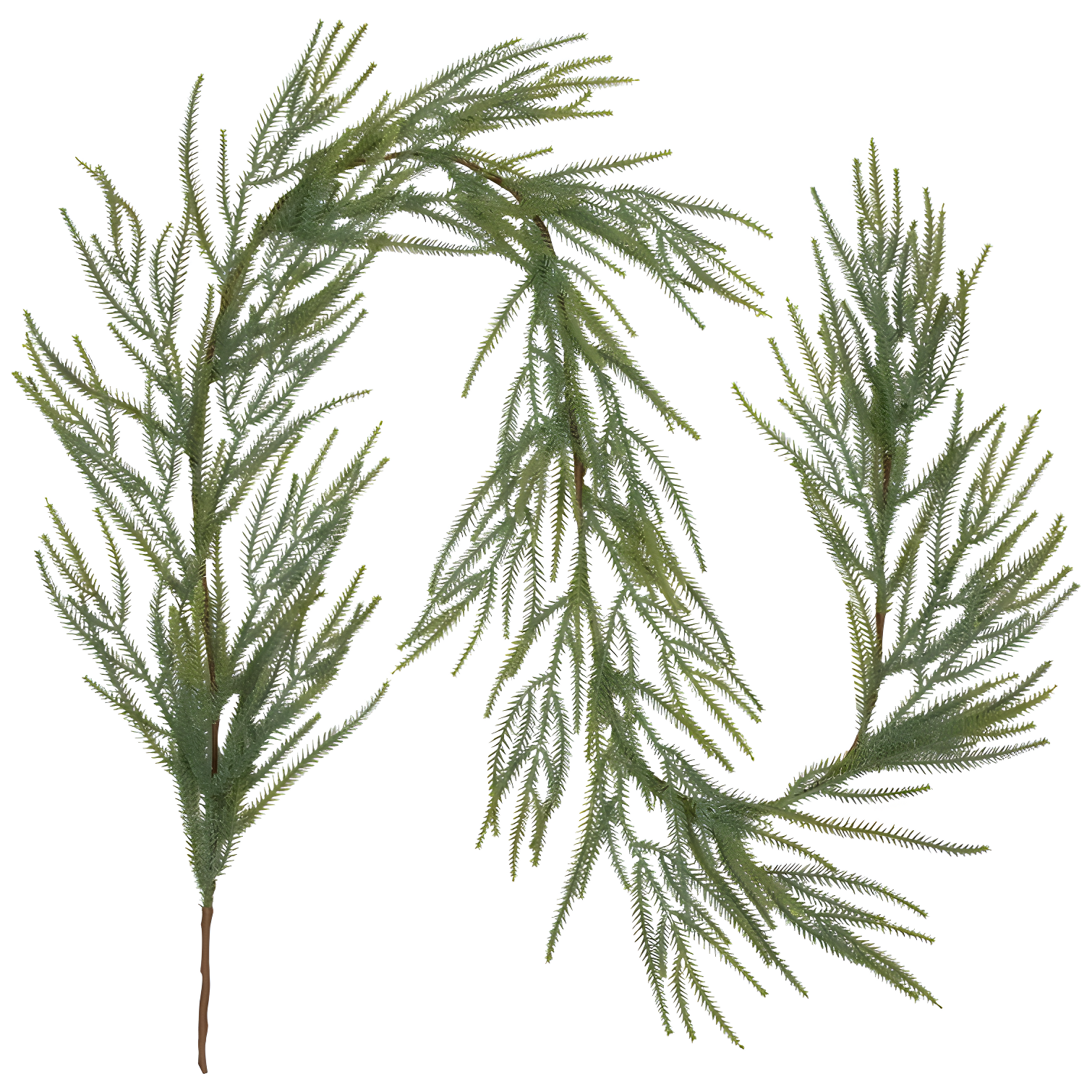 Northlight Seasonal Norfolk Pine Artificial Christmas Garland - 7' - Unlit