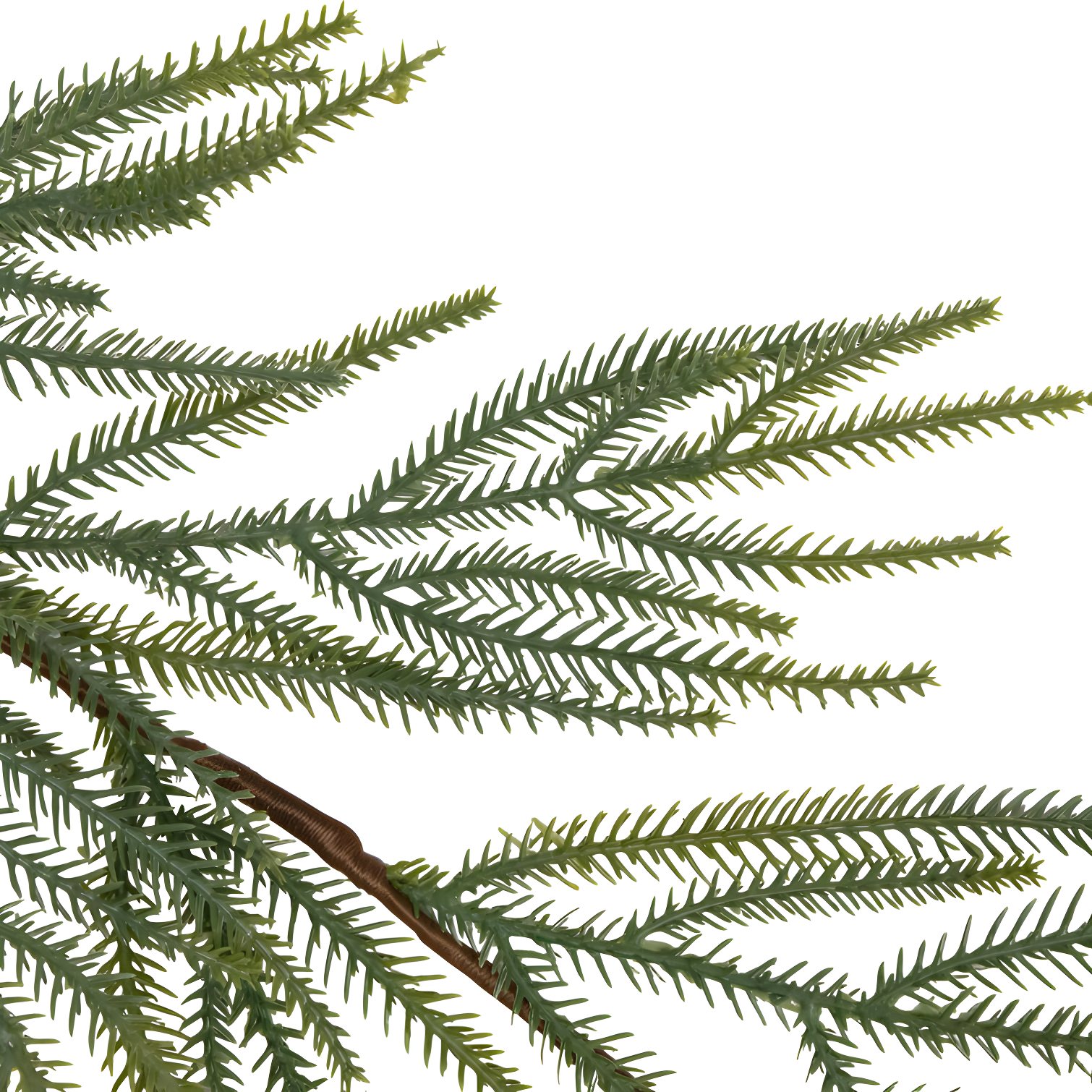 Northlight Seasonal Norfolk Pine Artificial Christmas Garland - 7' - Unlit