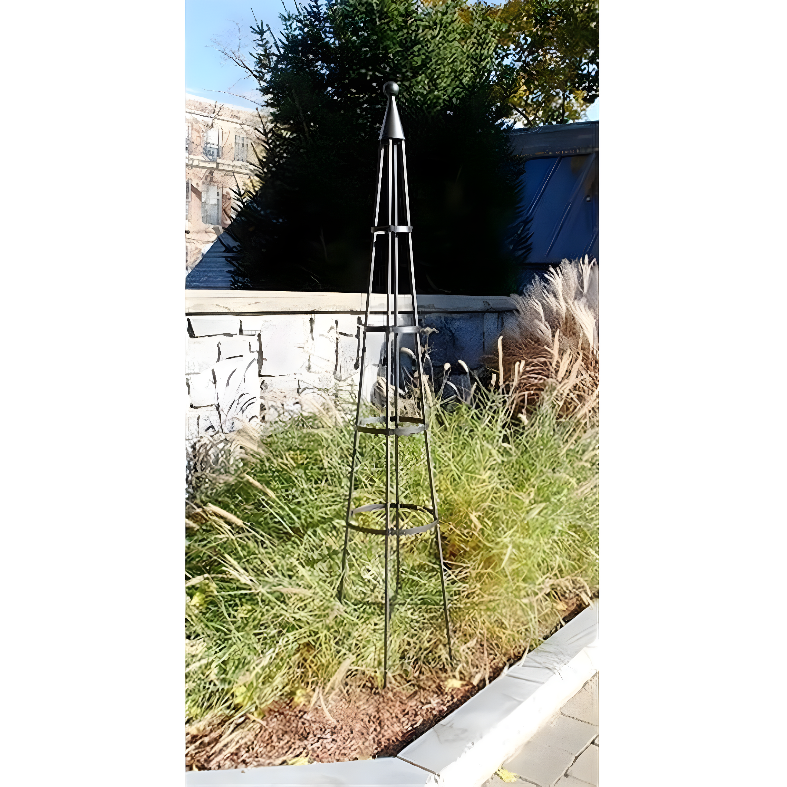 Latitude Run® Alarcon-Chacon 84'' H x 13'' W Iron Obelisk Trellis