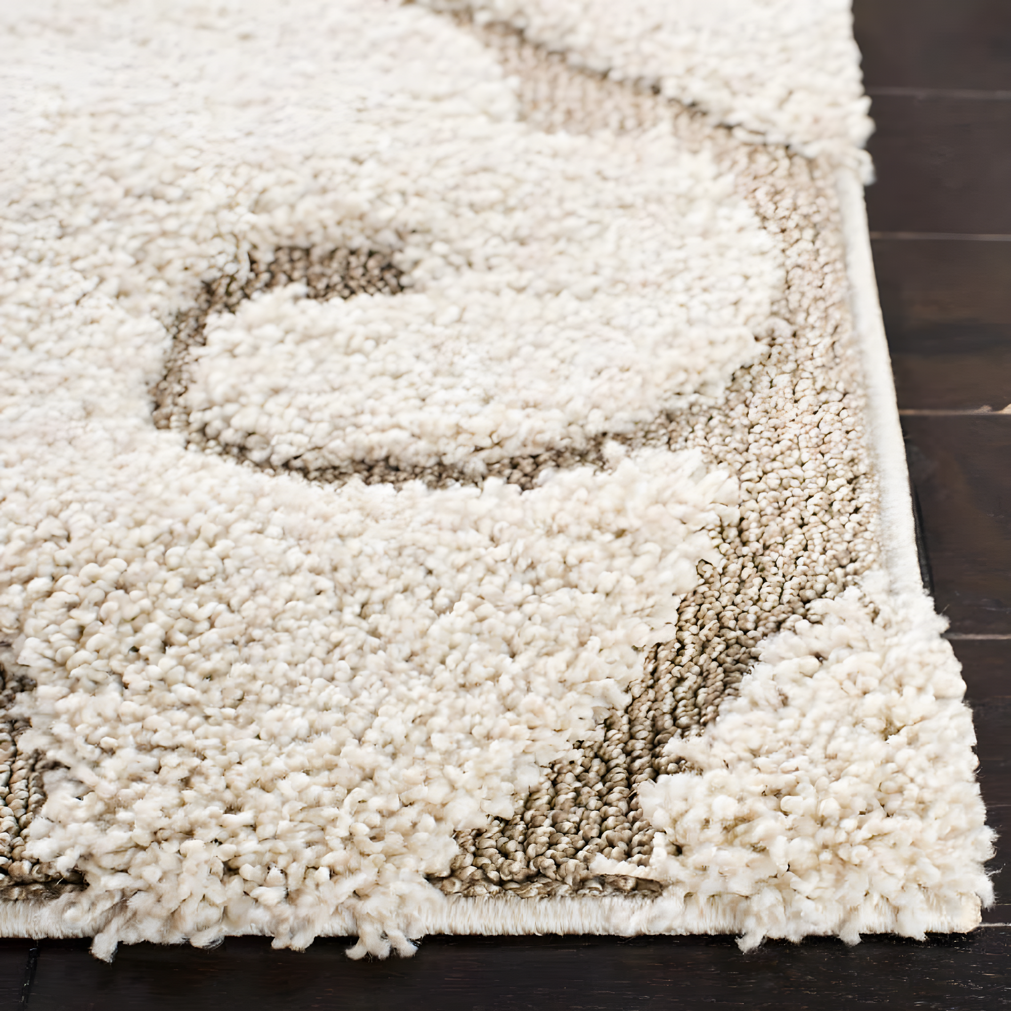 Florida Shag SG455 Power Loomed Indoor Area Rug - Cream/Beige - 4'x6' - Safavieh.