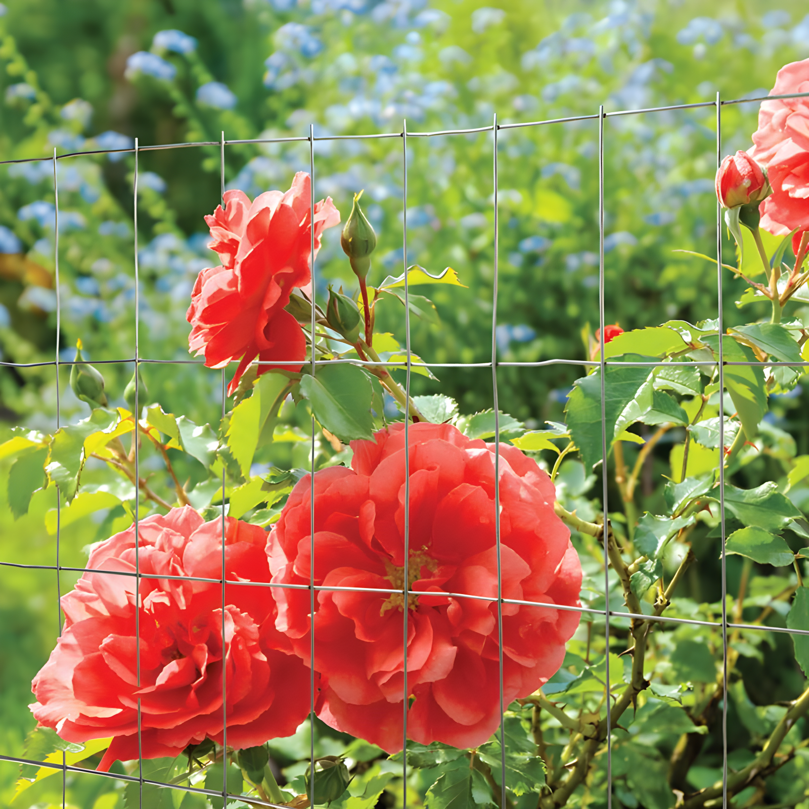 YARDGARD Metal Fencing