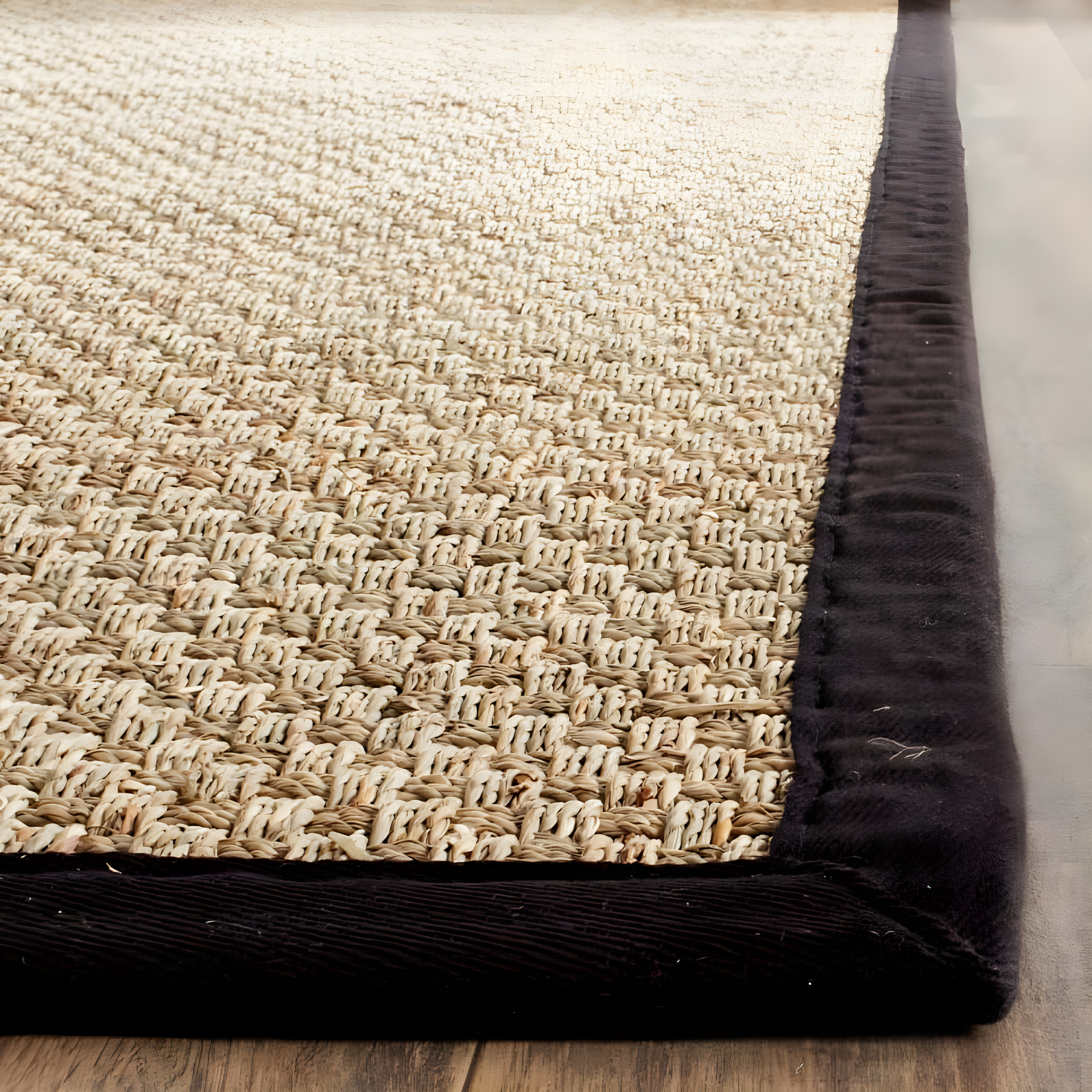 Natural Fiber NF114 Power Loomed Indoor Accent Rug - Natural/Black - 3'x5' - Safavieh.