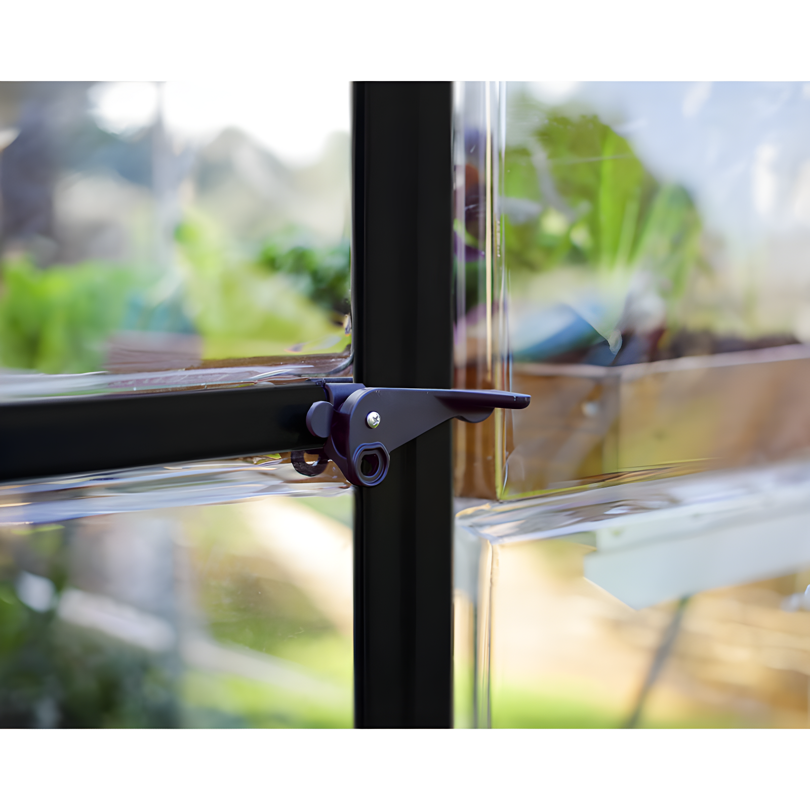 Canopia Palram - Canopia Hybrid Polycarbonate Hobby Greenhouse