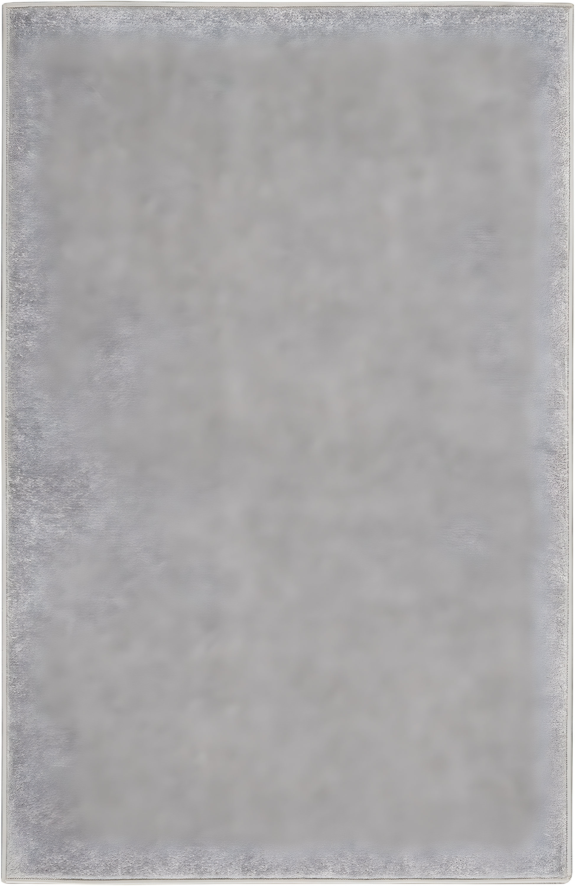 Nourison Essentials Easy Care Indoor Outdoor Area Rug - Silver Grey 2' x 4'