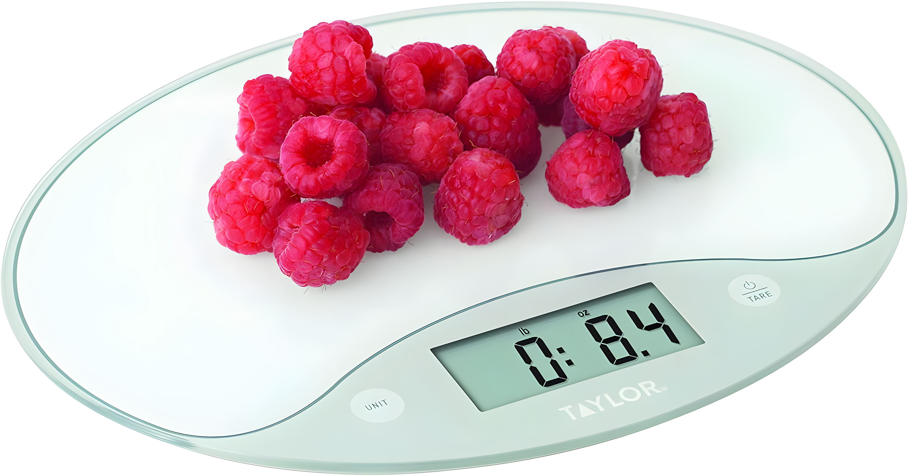 Taylor 6309561 11 lbs Digital Kitchen Scale, White