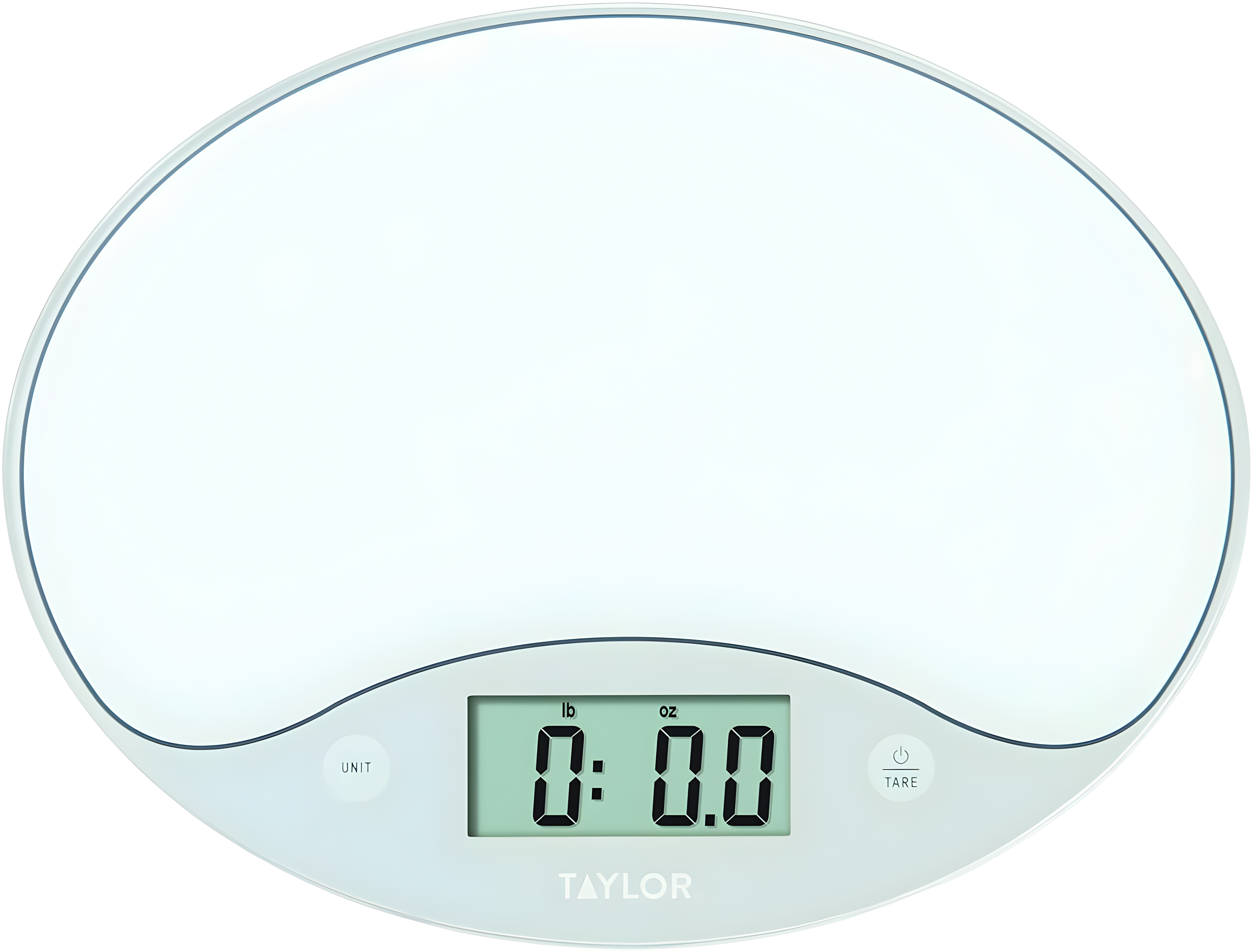 Taylor 6309561 11 lbs Digital Kitchen Scale, White