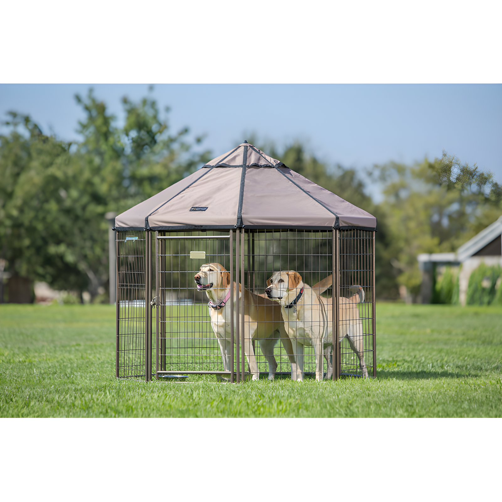 Pet Gazebo Dog Kennel Play Pen with Market Top Canopy