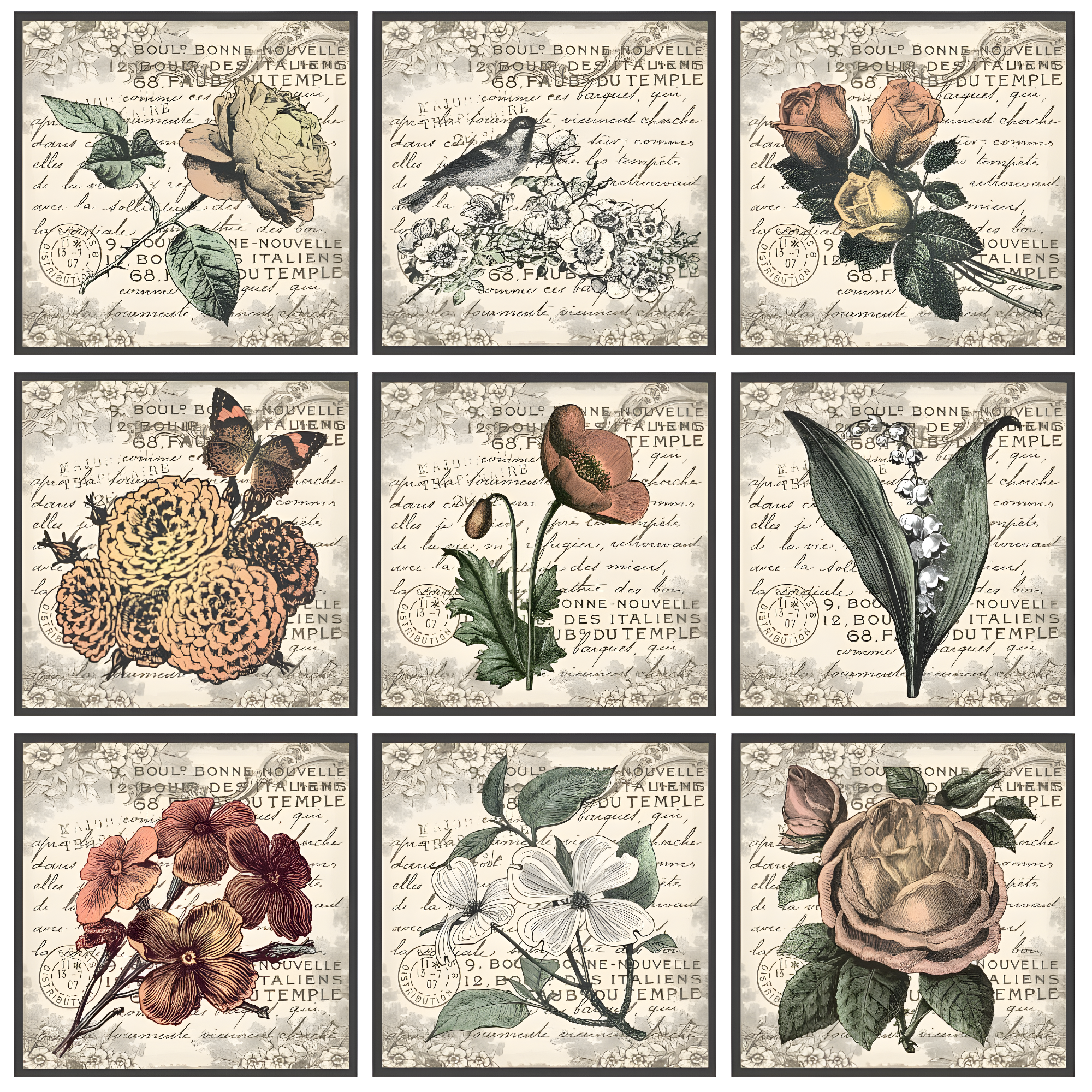 Ophelia & Co. Firebaugh " French Botanical Illustrations " by In House Art 9 - Pieces