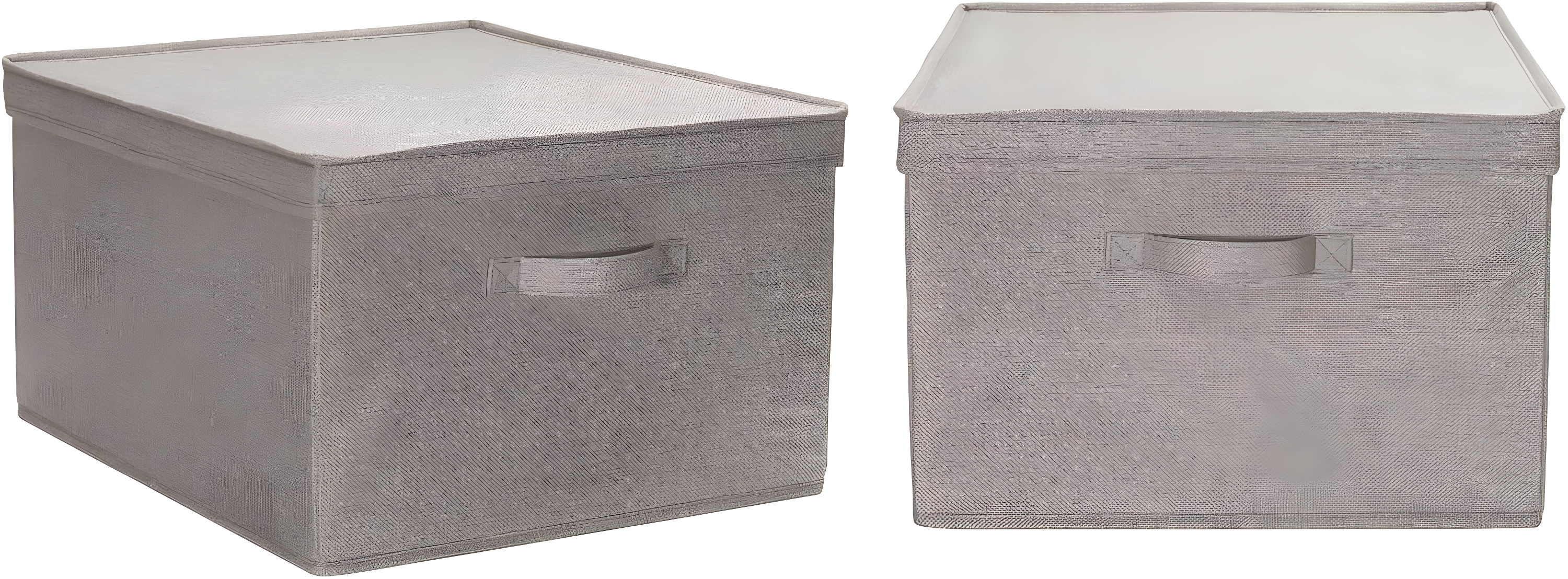 Household Essentials Fabric Bin (Set of 2)
