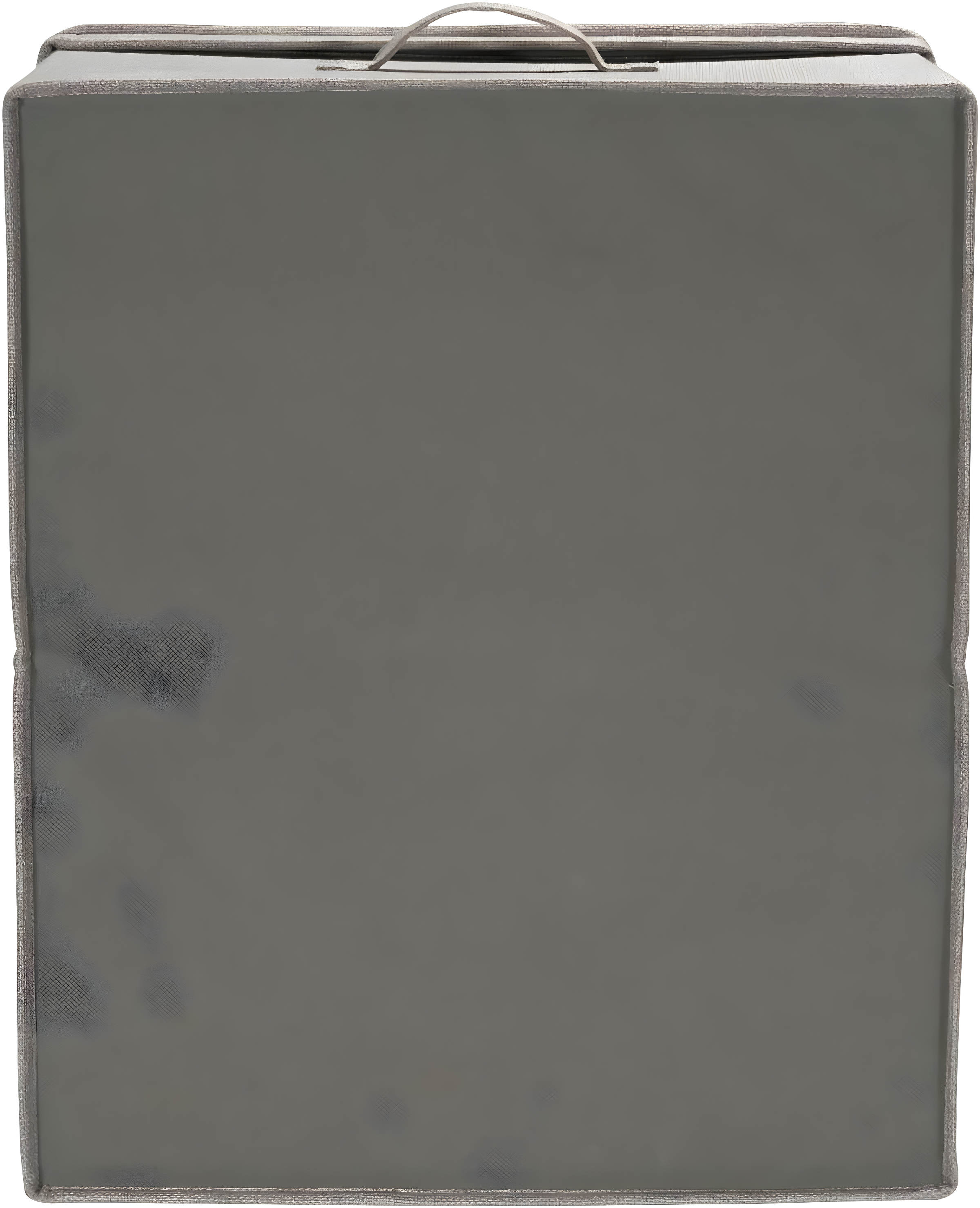 Household Essentials Fabric Bin (Set of 2)