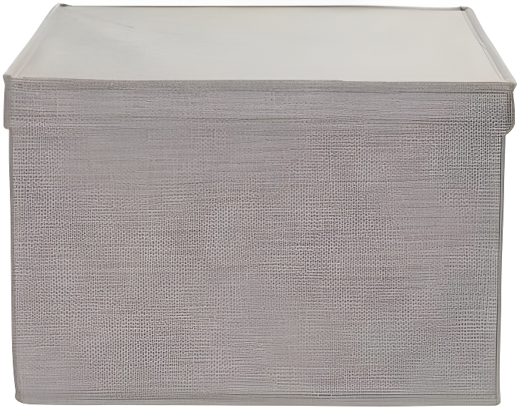 Household Essentials Fabric Bin (Set of 2)