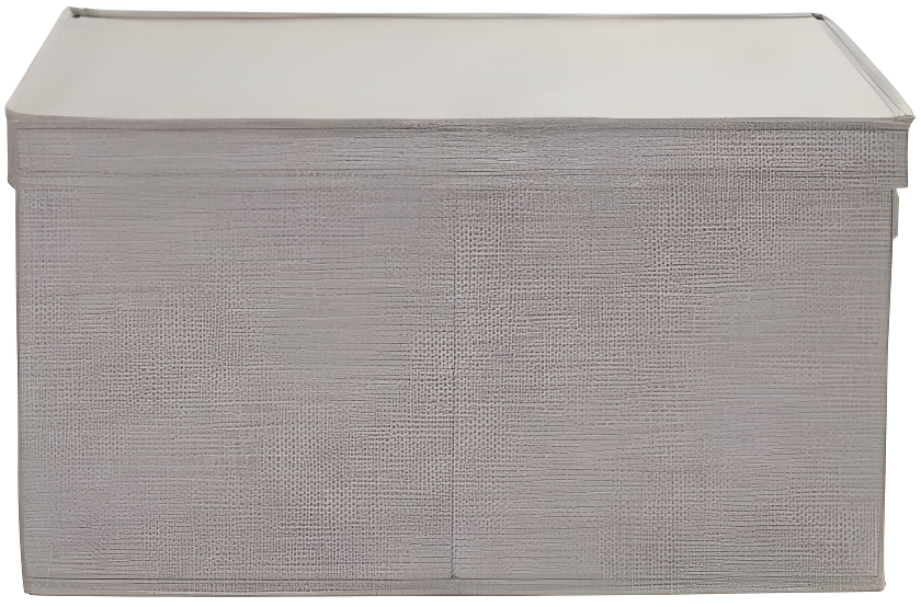 Household Essentials Fabric Bin (Set of 2)