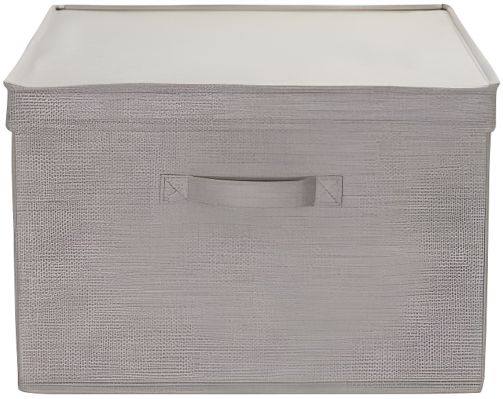 Household Essentials Fabric Bin (Set of 2)