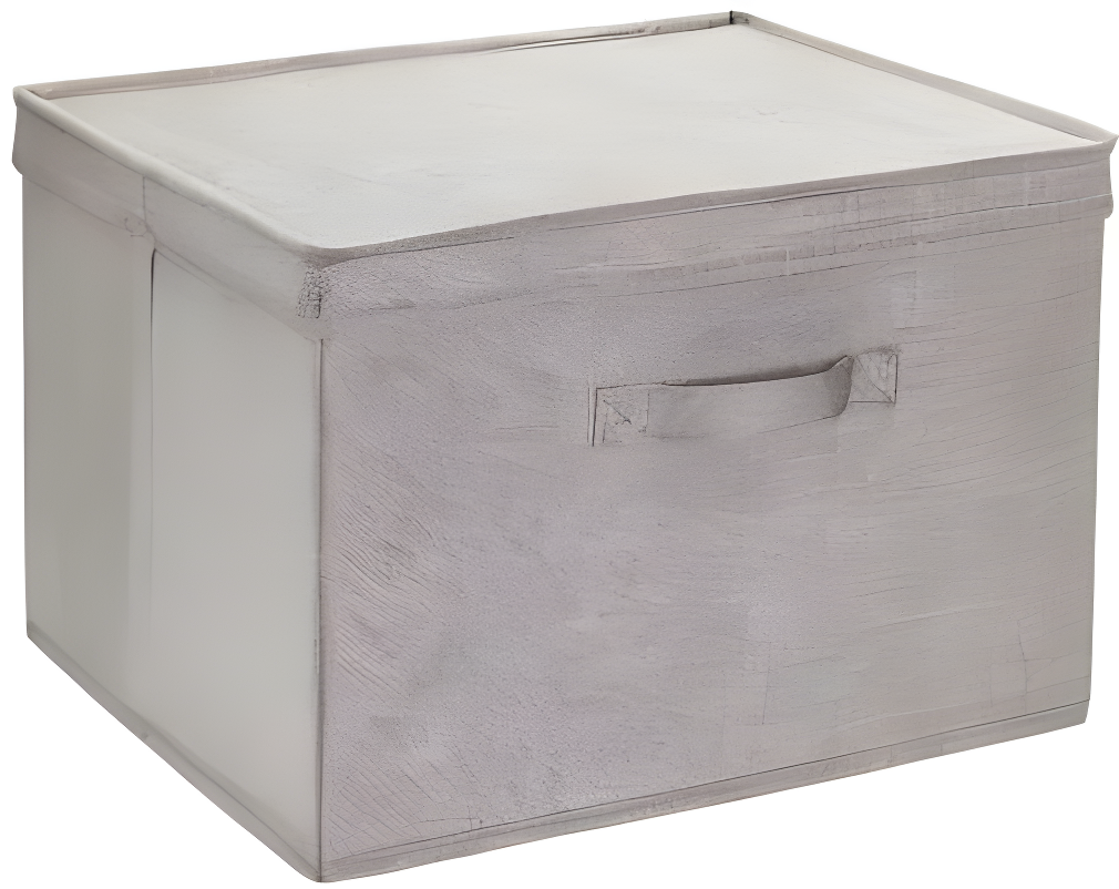 Household Essentials Fabric Bin (Set of 2)