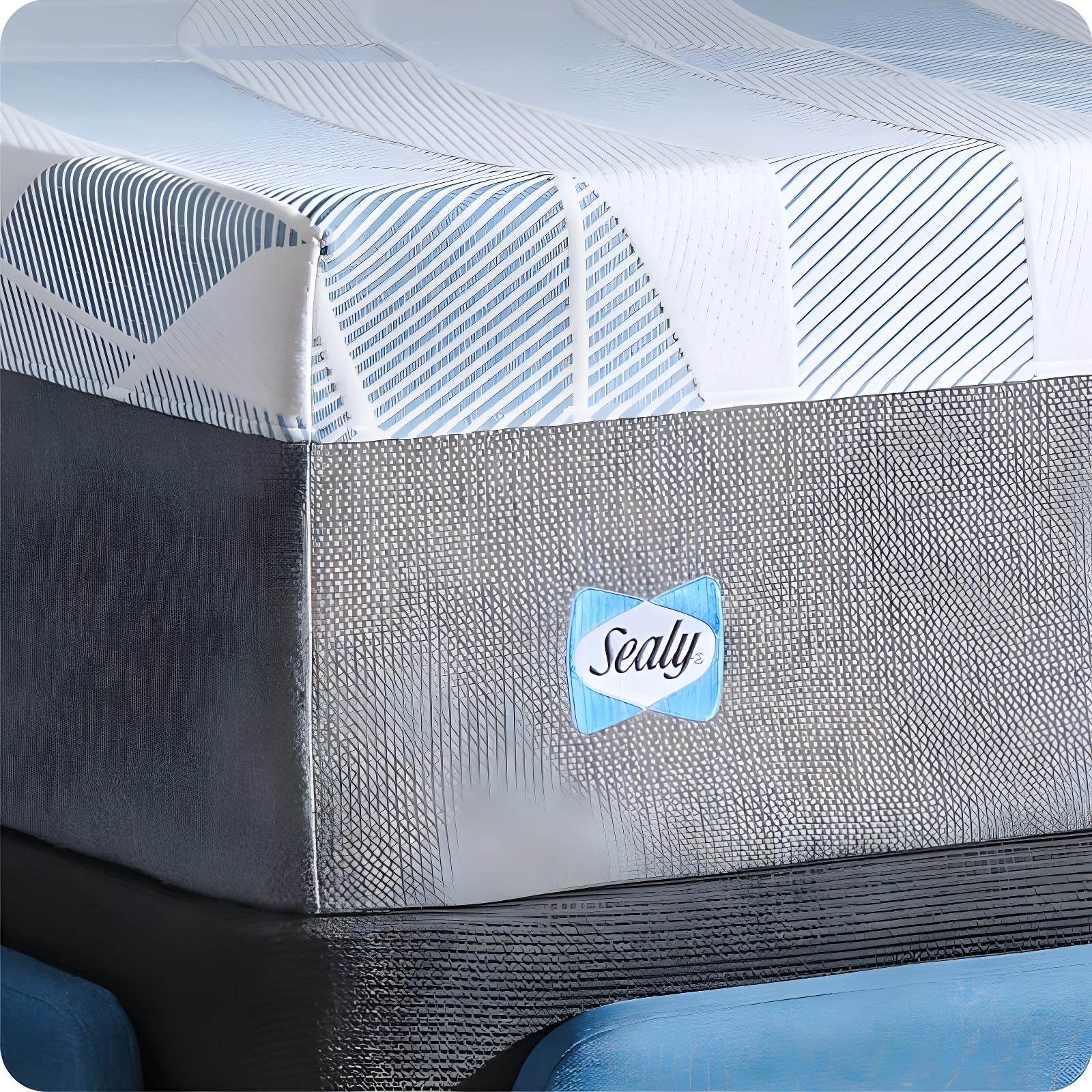 Sealy Sealy Dreamlife 14” Plush Foam Mattress-in-a-Box