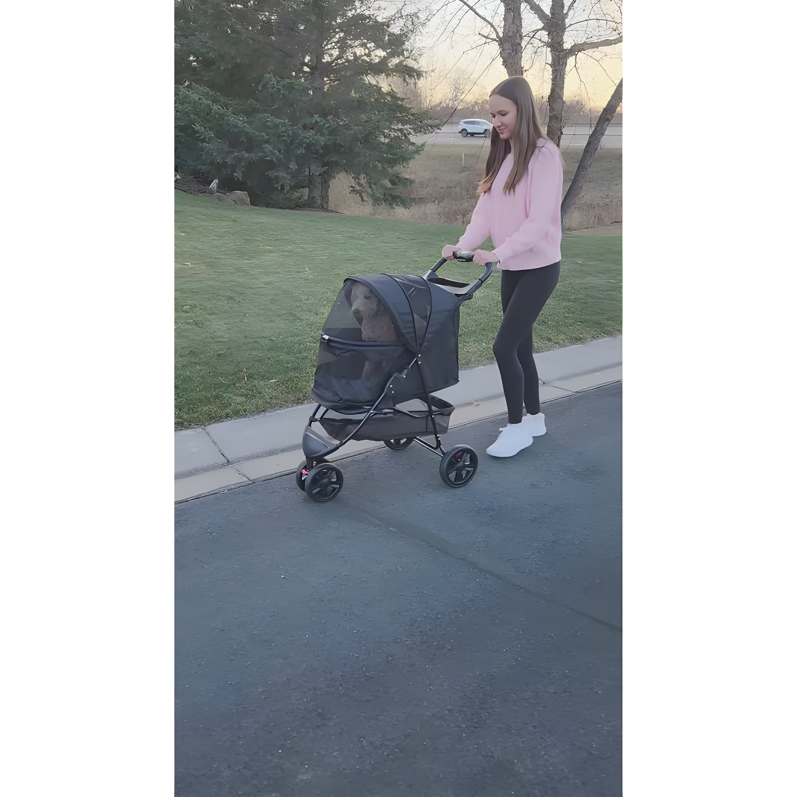 Pet Gear No-Zip Special Edition Stroller