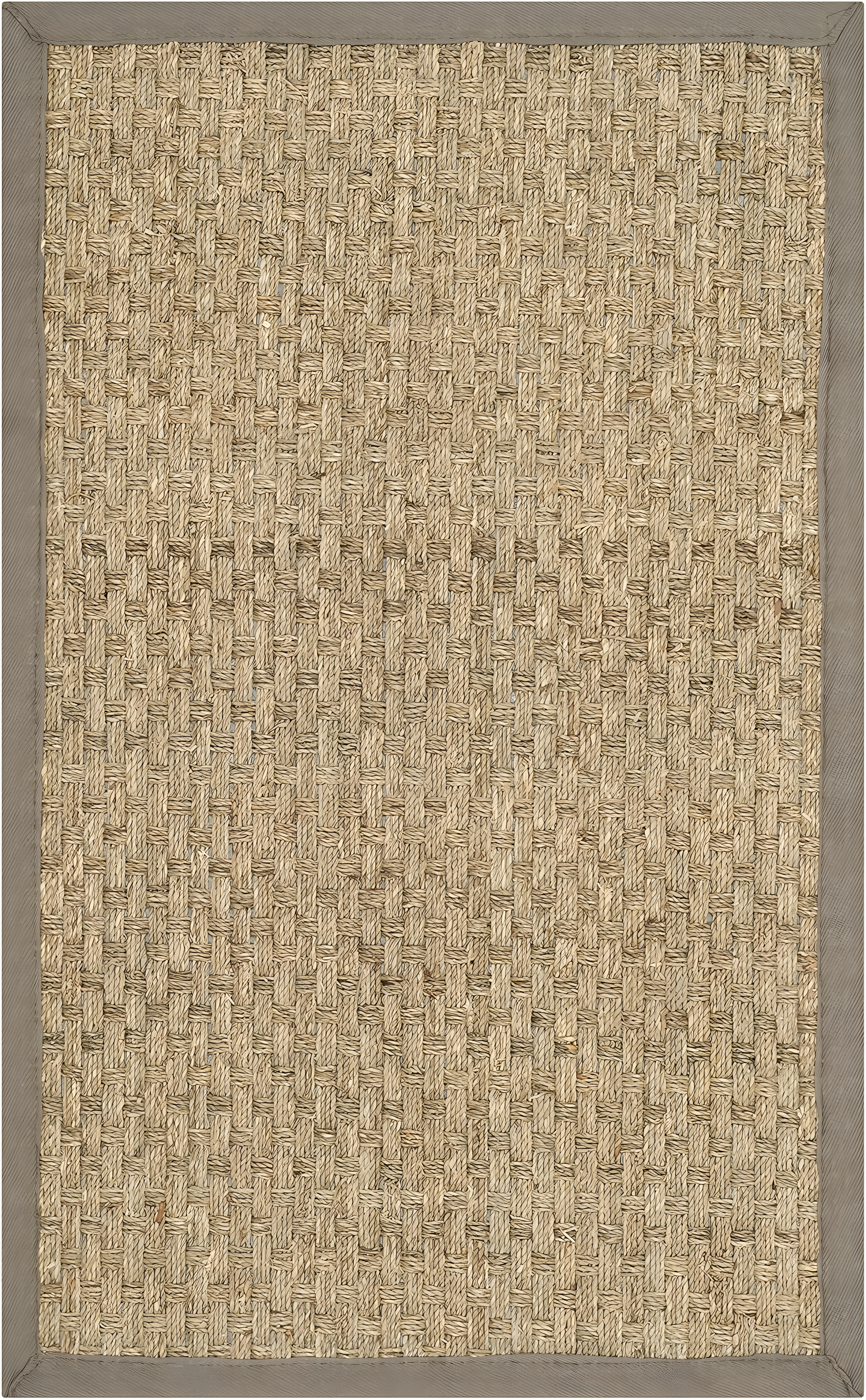 Natural Fiber NF114 Power Loomed Indoor Accent Rug - Natural/Grey - 2'x3' - Safavieh.