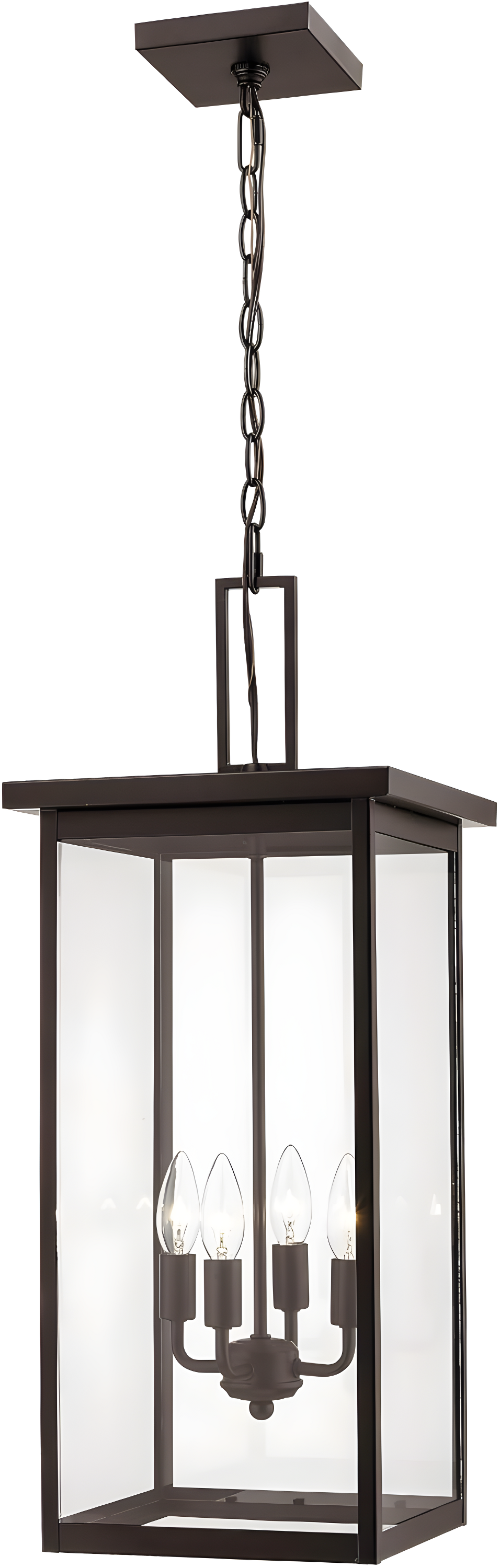 Millennium Lighting 2605 Barkeley 4 Light 11" Wide Outdoor Pendant - Black
