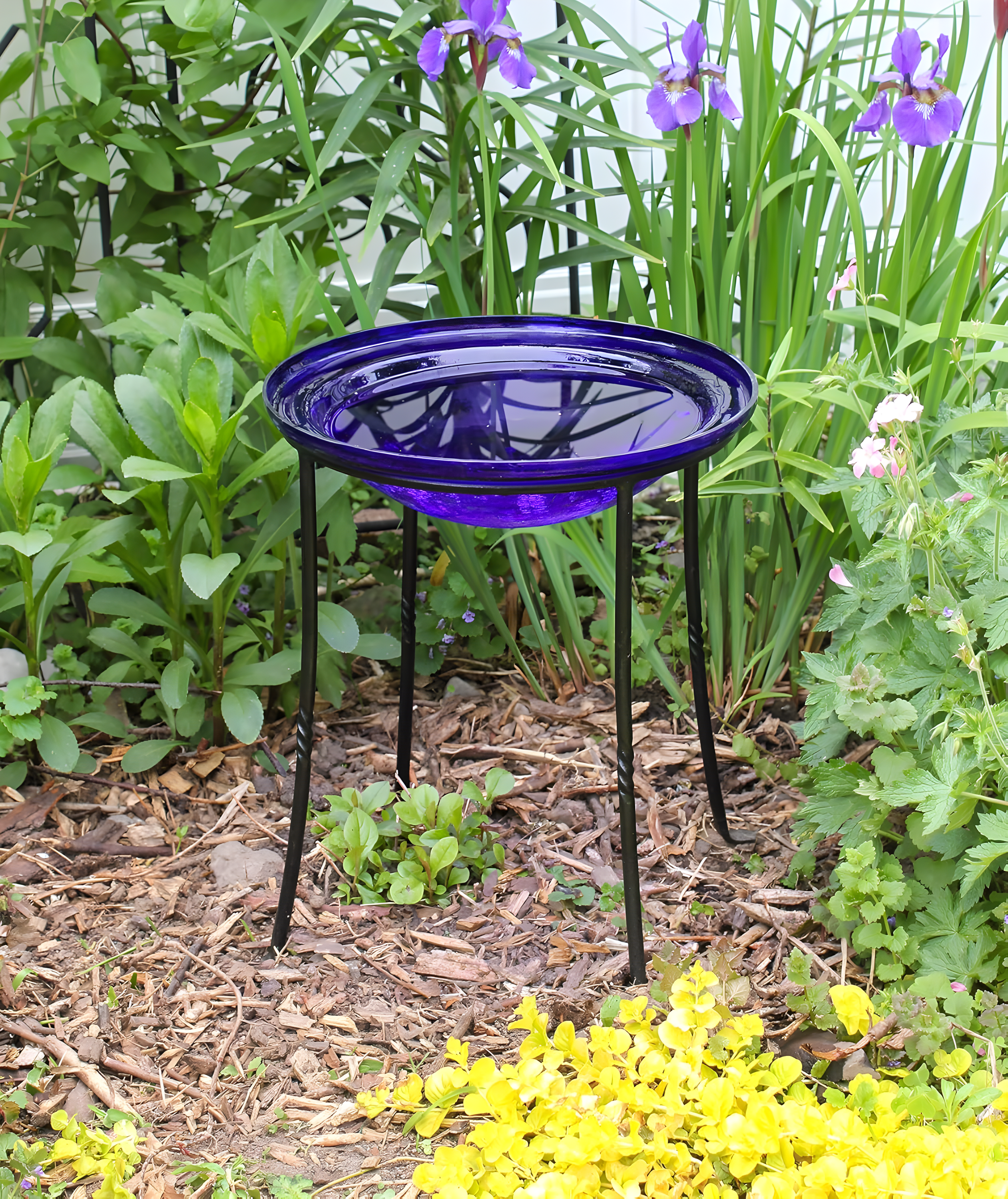 Winston Porter Drumnasole Iron Pedestal Birdbath