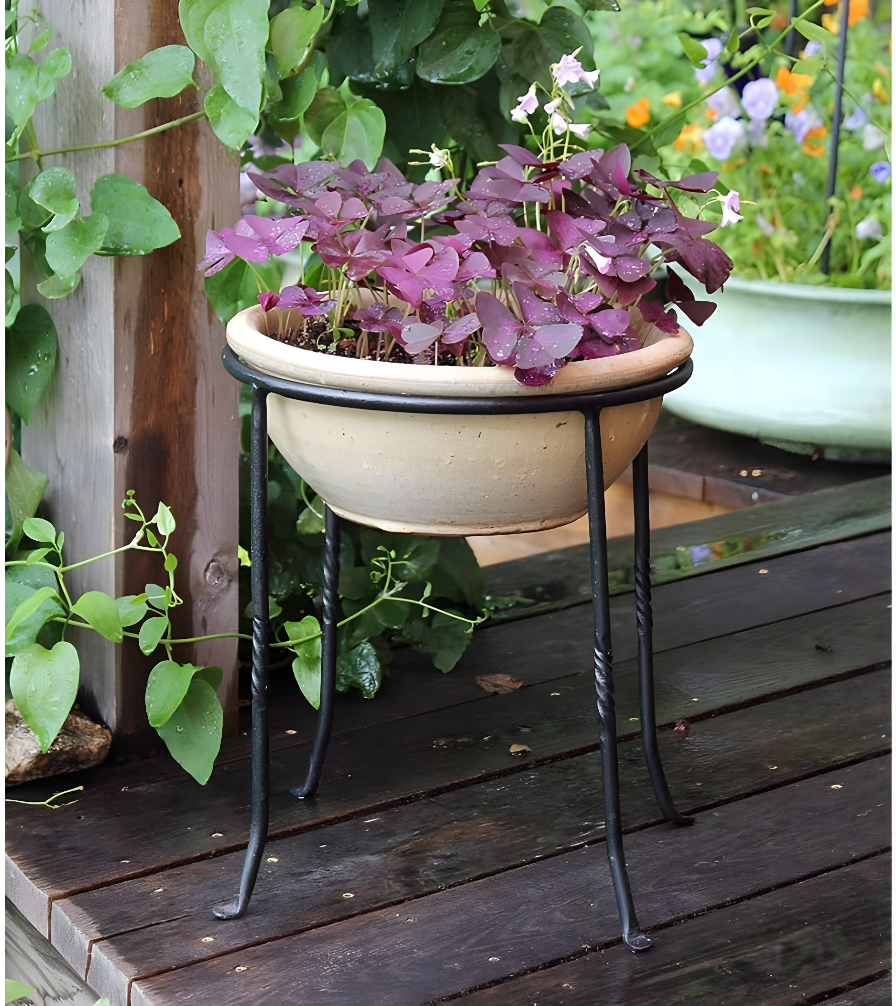 Winston Porter Drumnasole Iron Pedestal Birdbath