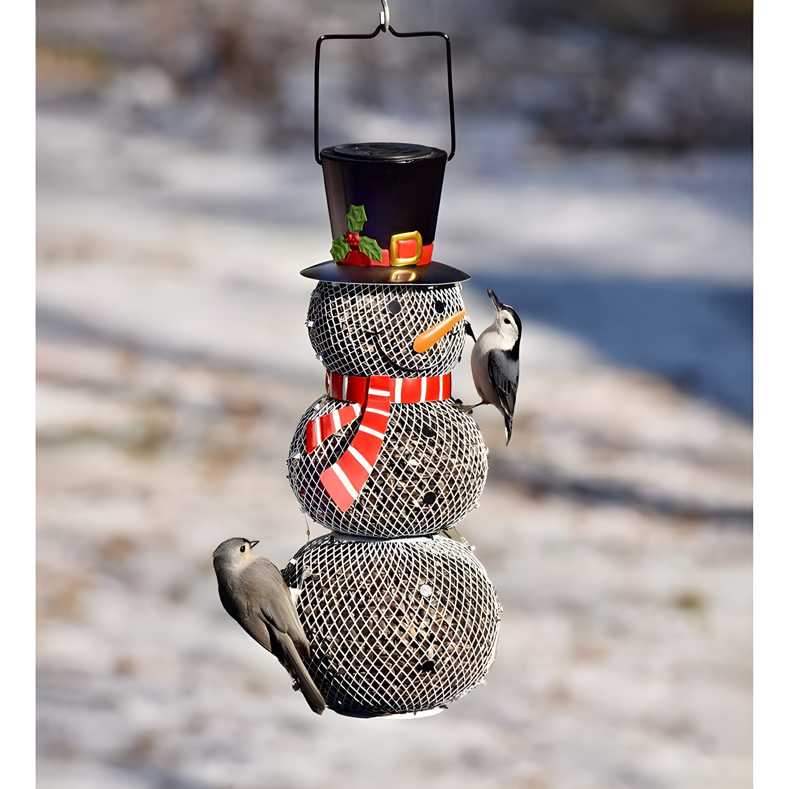 Orwigsburg Metal Hanging Decorative Bird Feeder