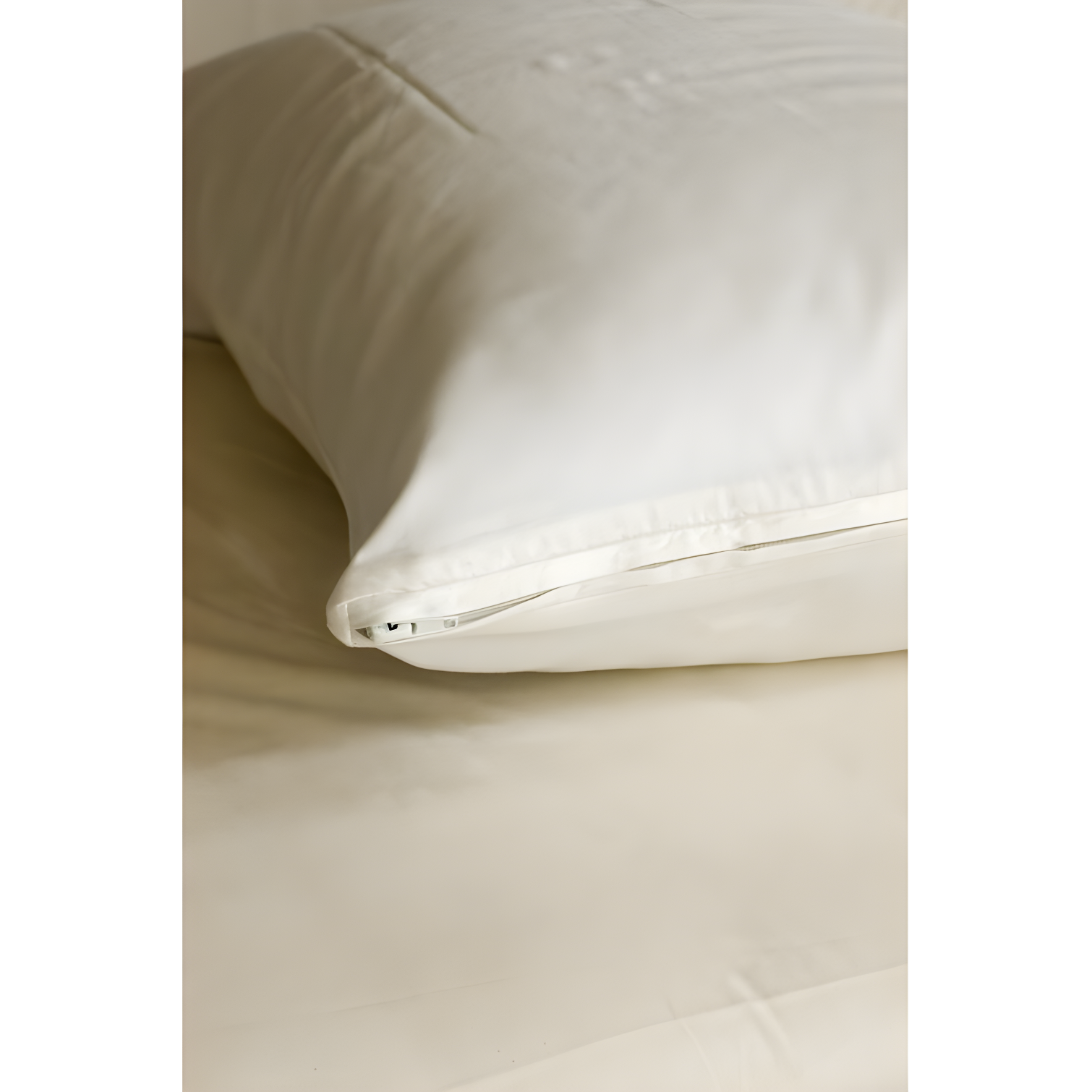 Coyuchi Bedding Essentials Organic 100% Organic Cotton Pillow Protector