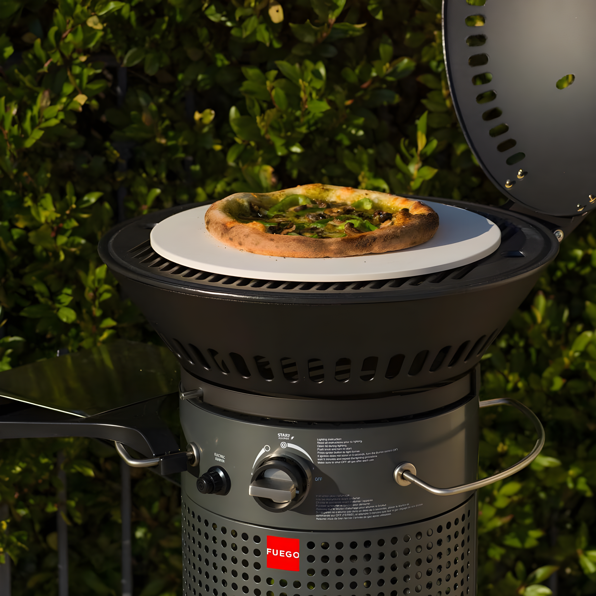 Fuego Living 2 - Burner Countertop Liquid Propane Gas Grill