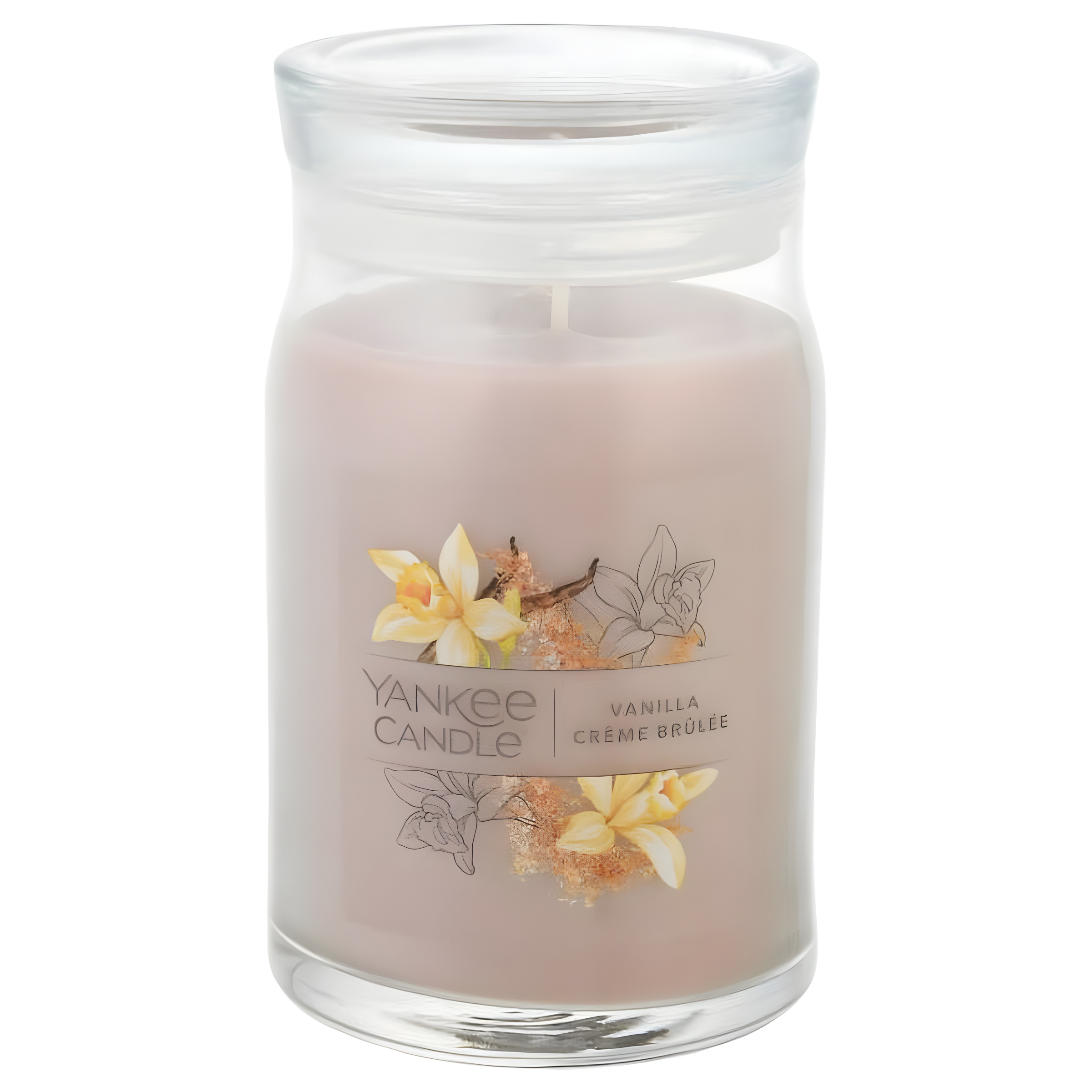 YANKEE CANDLE Signature Vanilla Crème Brulée Scented Candle