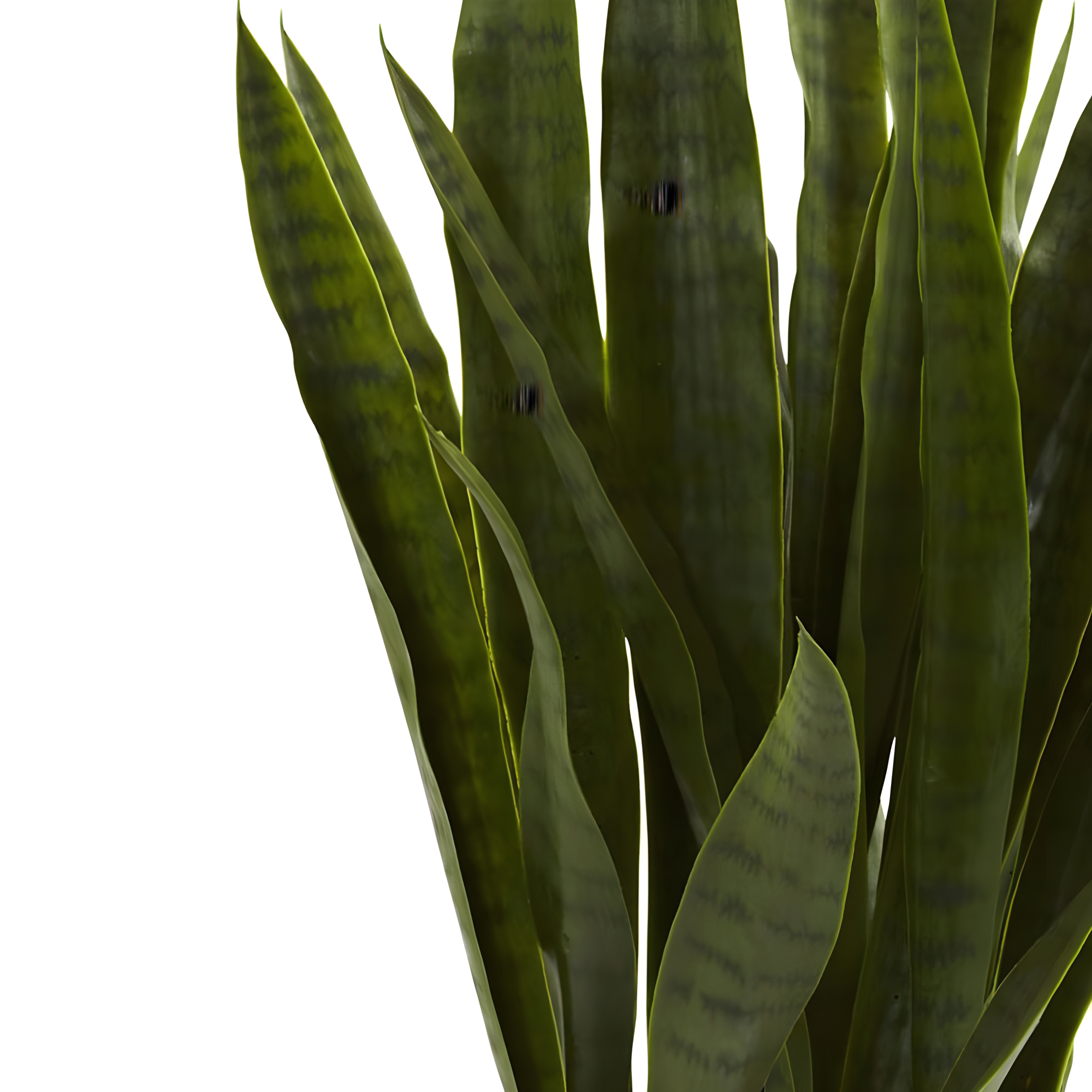 Nearly Natural 35" Sansevieria Artificial Plant in Plastic Planter, Green