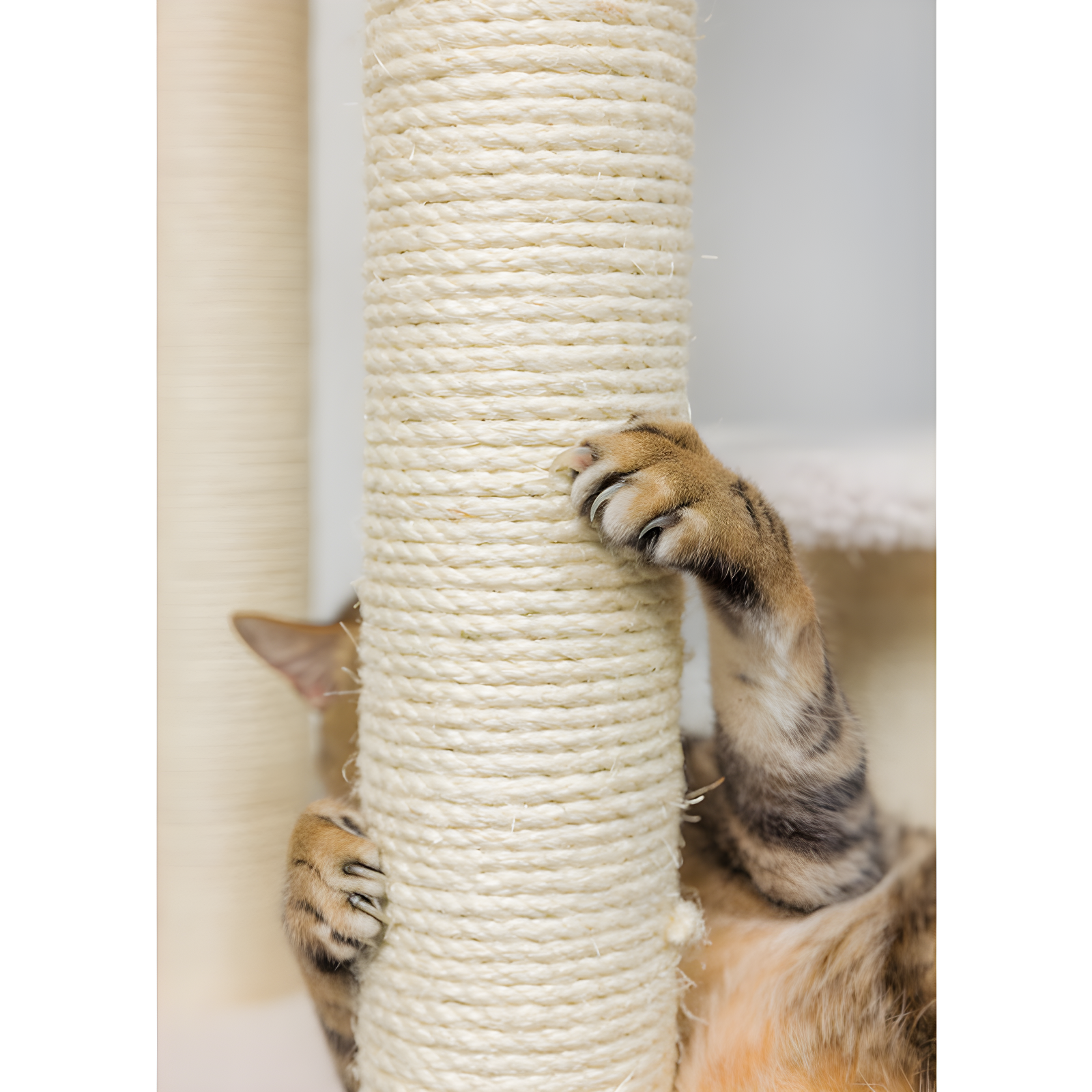 Armarkat Classic 68'' H Cat Tree