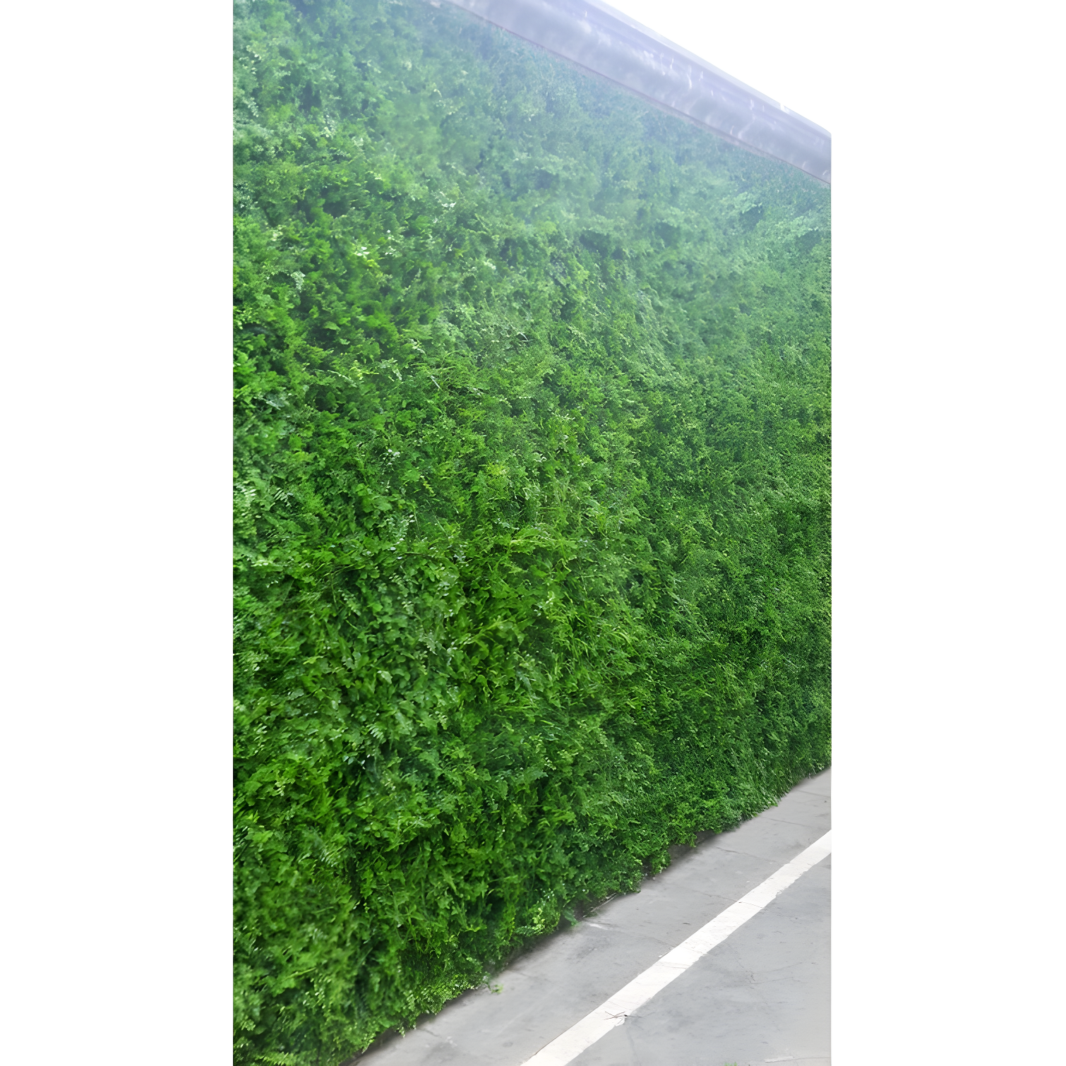 GreenSmart Dekor Artificial Leaf Fern Decorative Fence Panel (Set of 4)